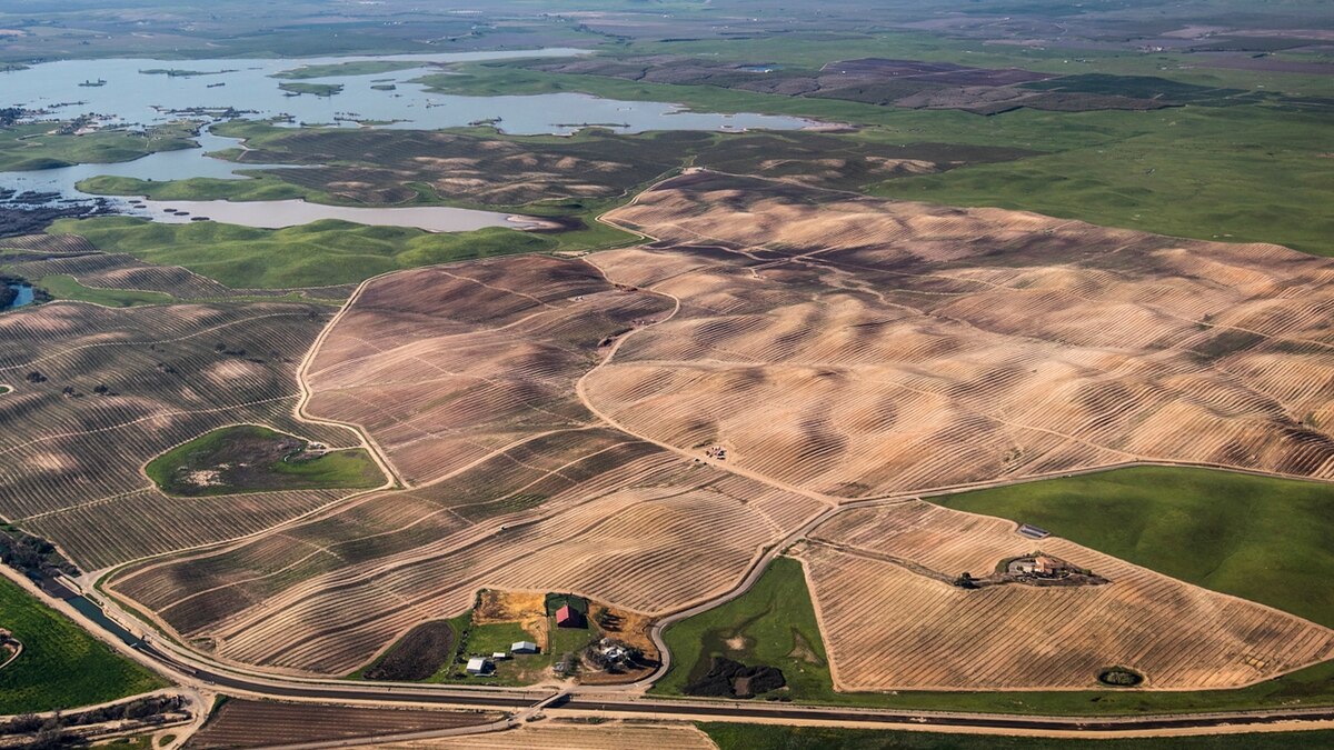 Lucrative But Thirsty Almonds Come Under Fire Amid Drought
