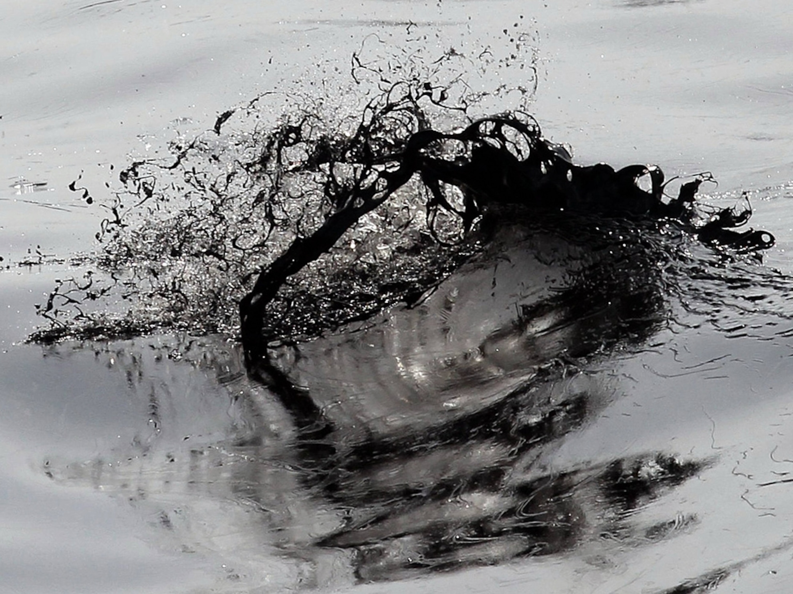 Picture of oily waters near Dalian, China, due to the China oil spill of July 2010.