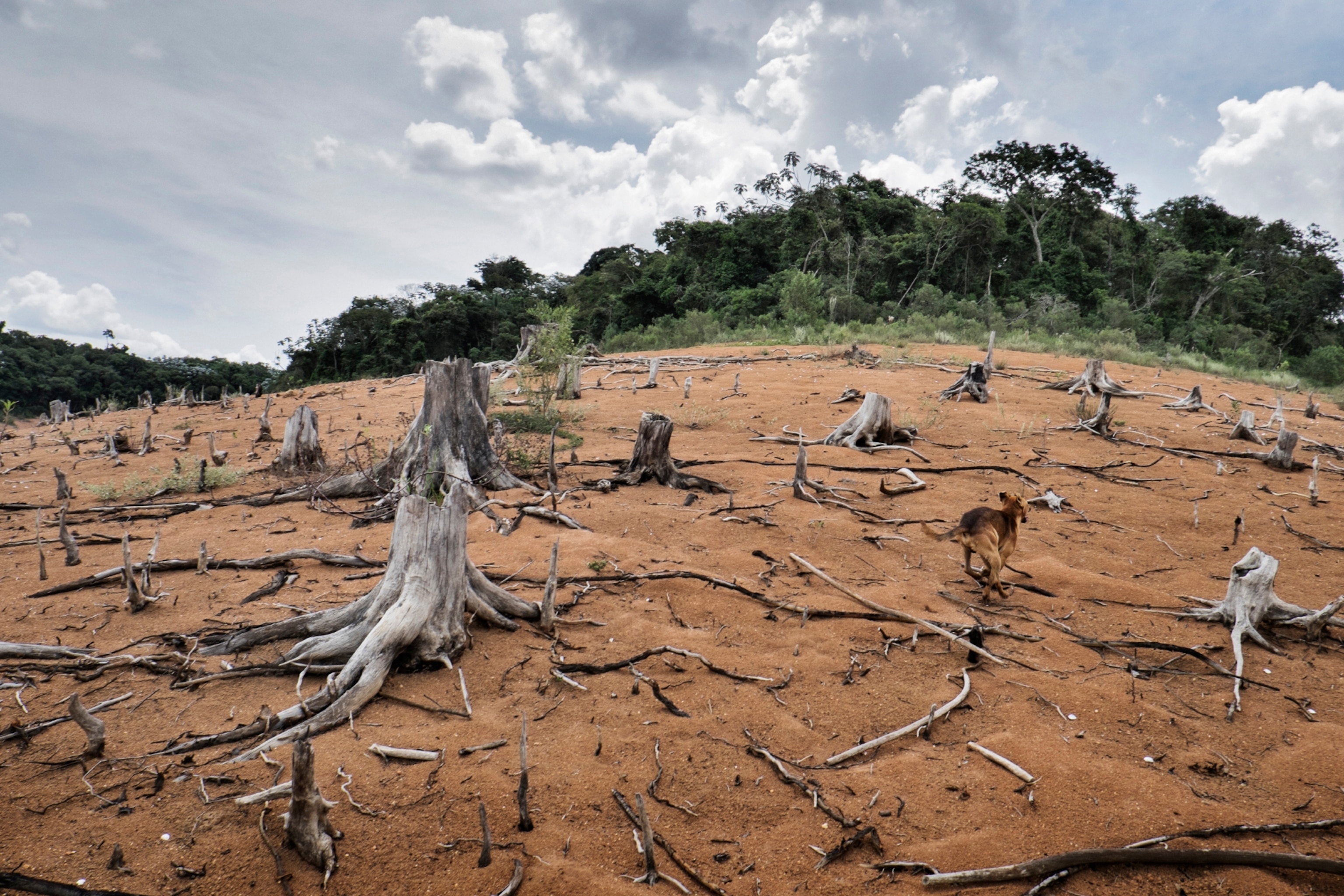 dry banks of the Jaguari-Jacareí reservoir