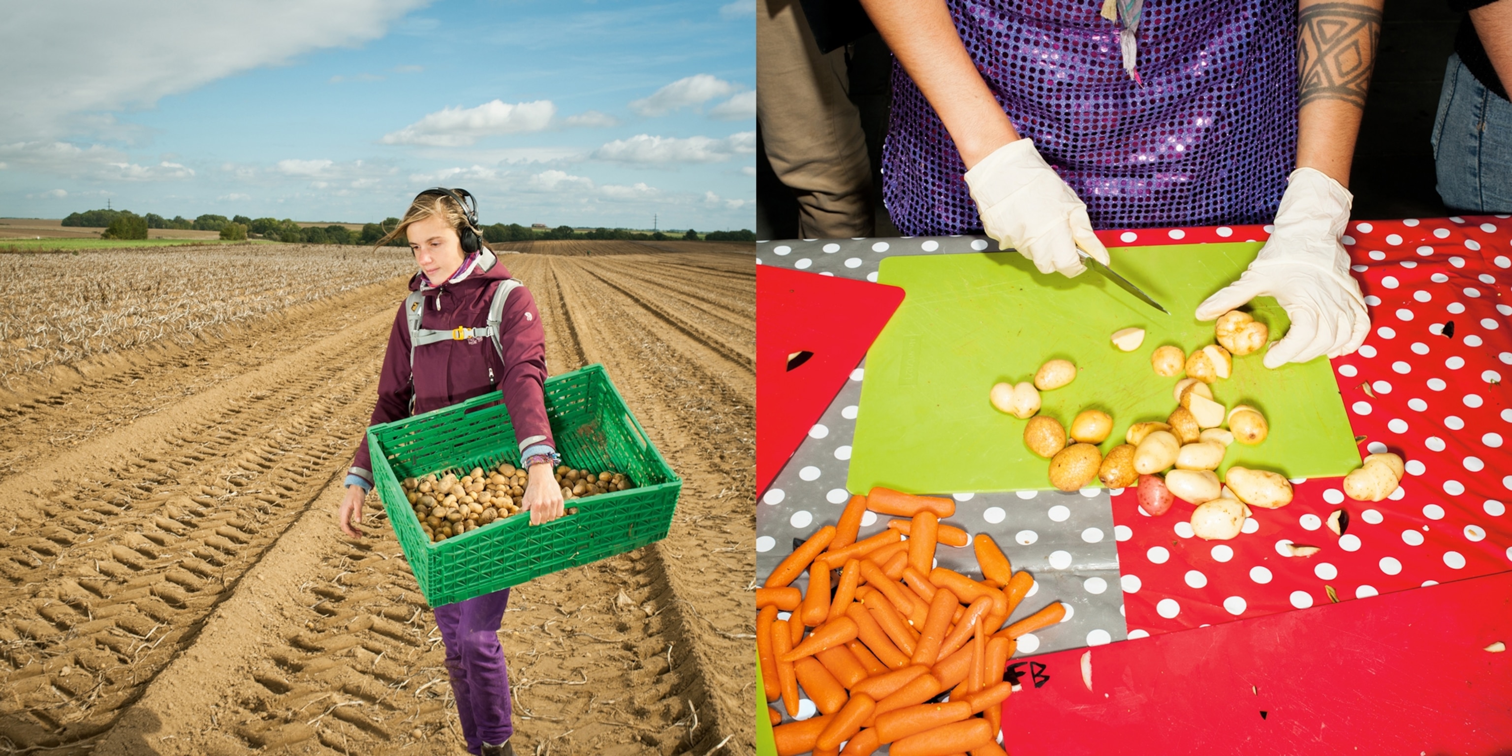 a volunteer gleaning for discarded potatoes and a volunteer preparing discarded vegetables for cooking