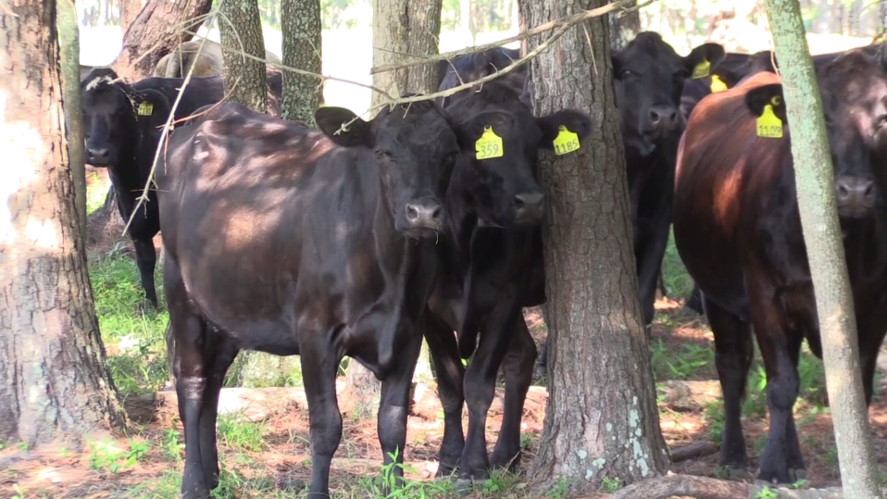 Screen Shot 2014-10-16 at 3.11.36 PM