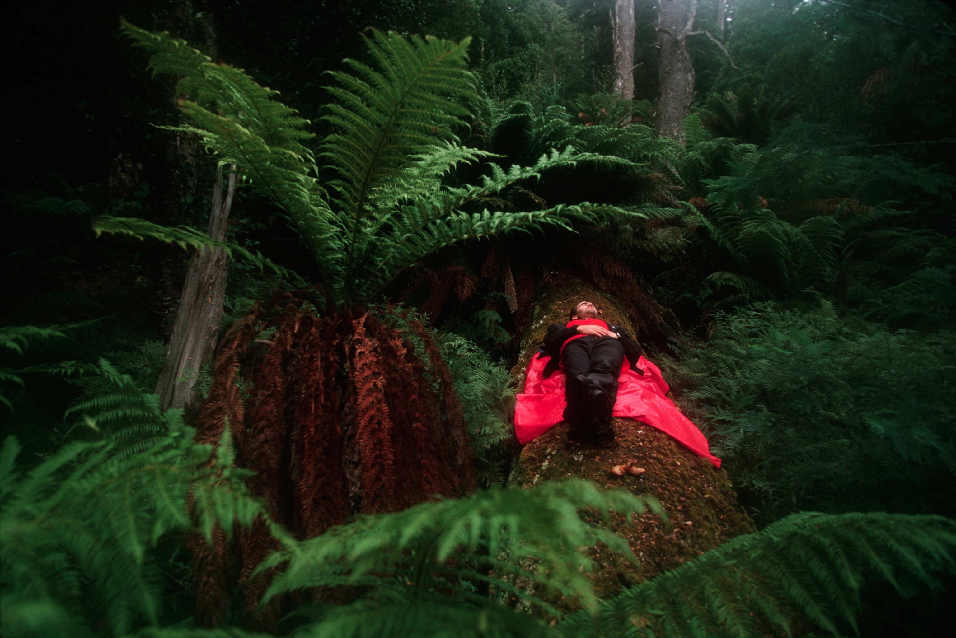 hiker resting on fallen tree