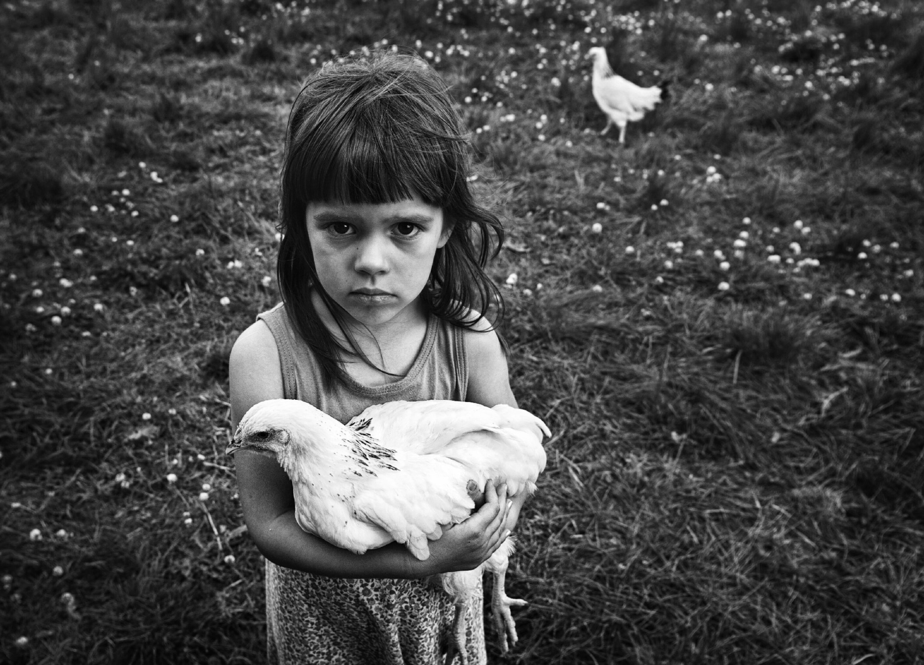 a girl holding a hen in Poland