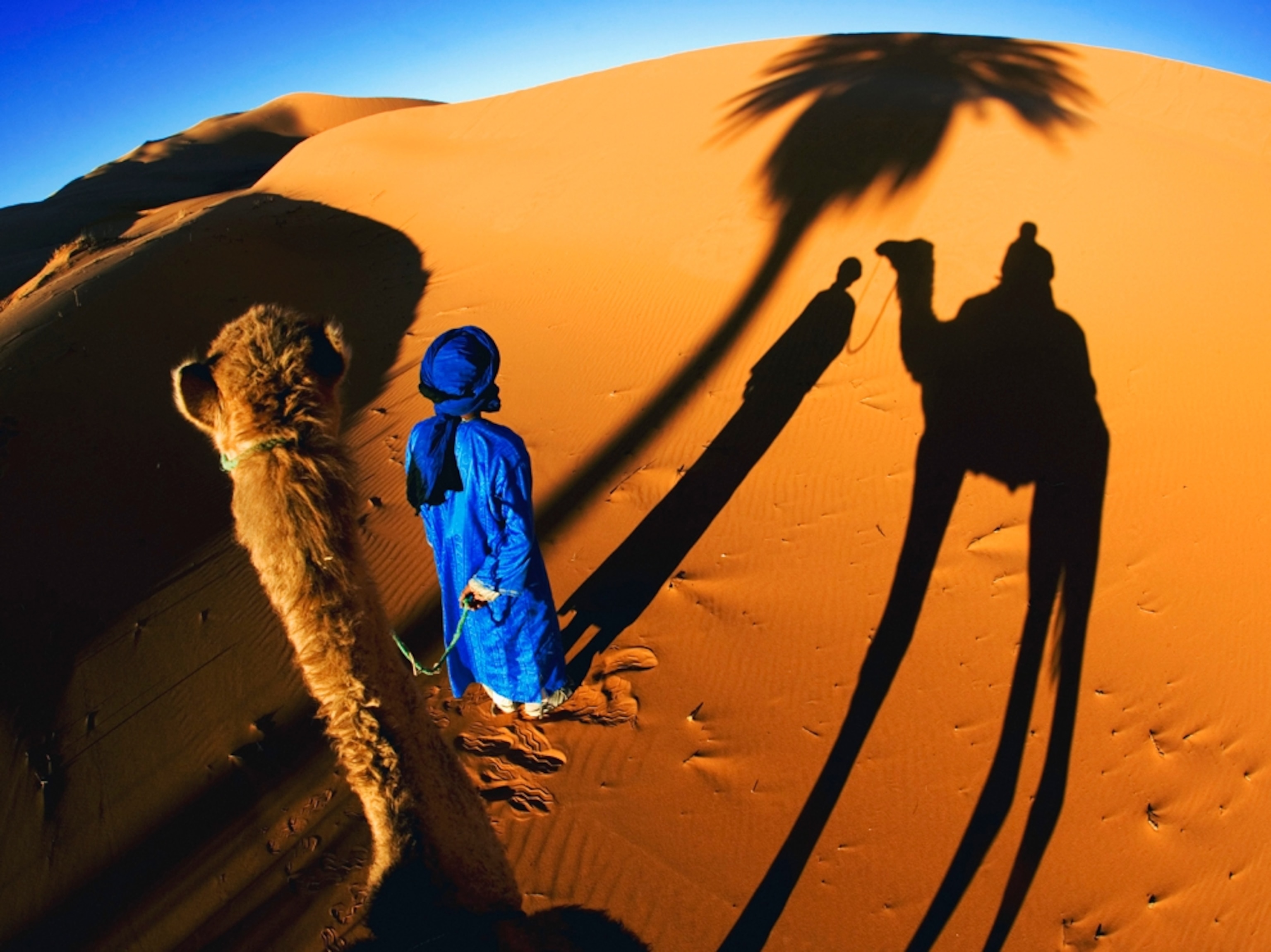 shadows cast by a tourist camel trek in the sand dunes of Erg Chebbi area of the Sahara desert