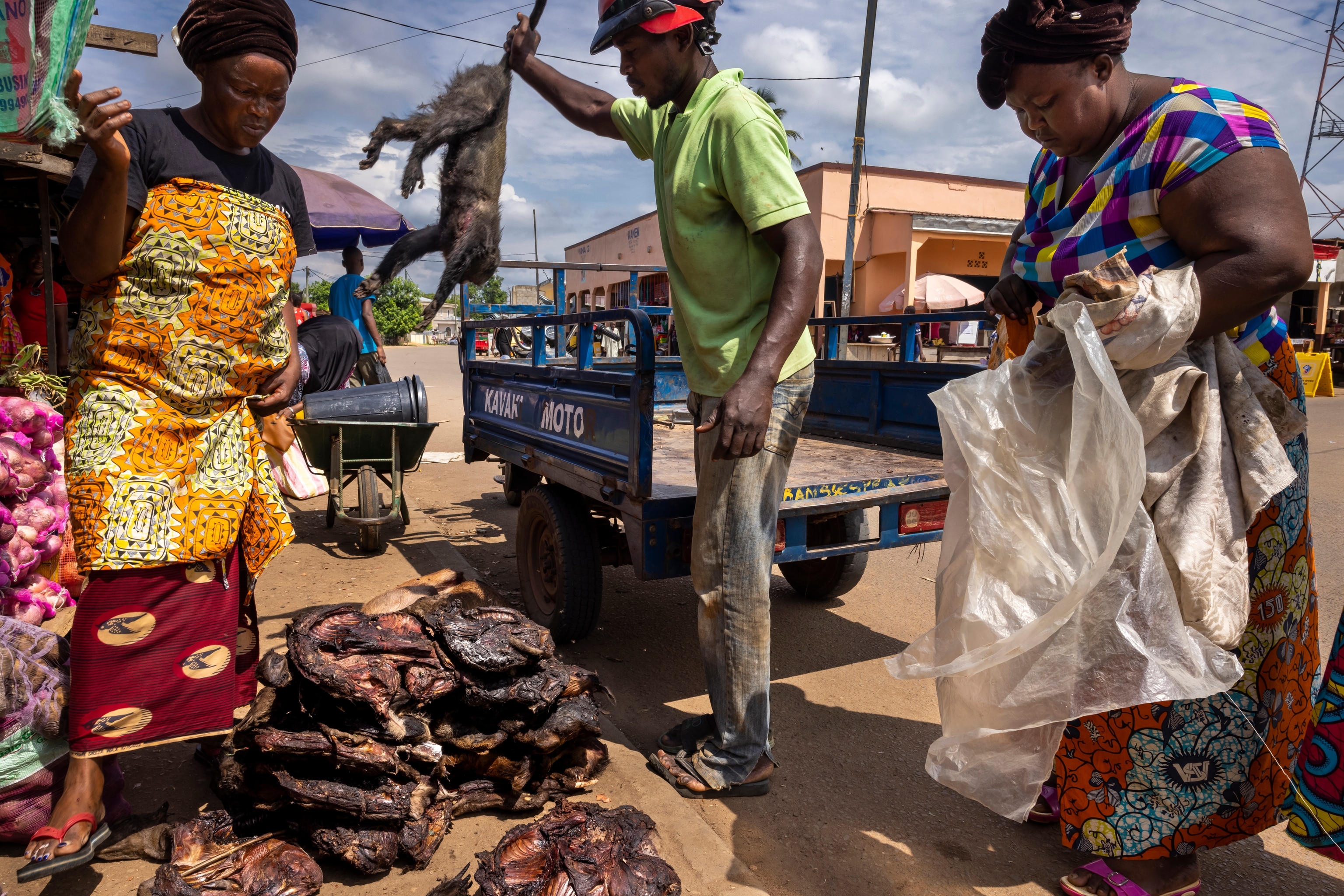 A deadly monkeypox variant is surging in Central Africa