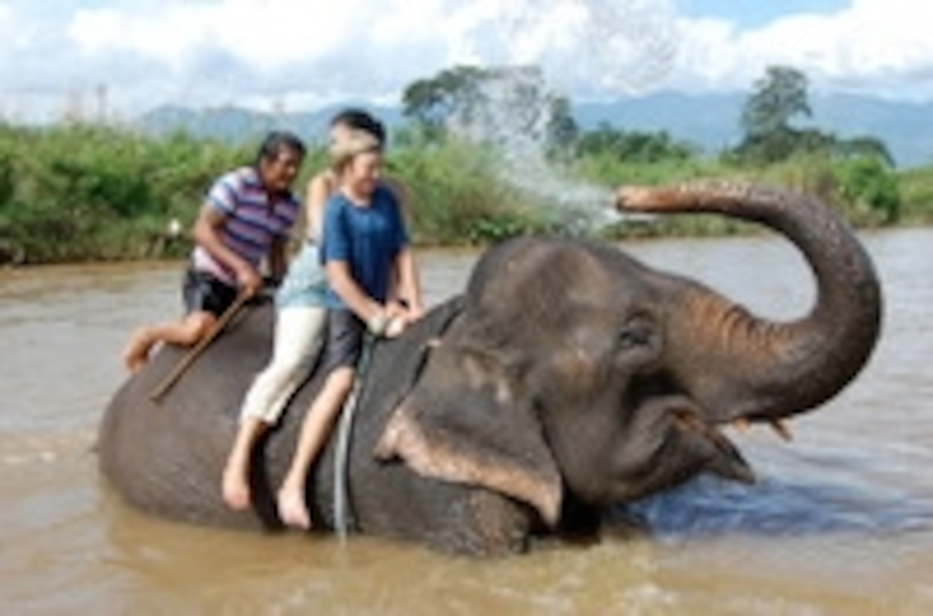 Elephant ride