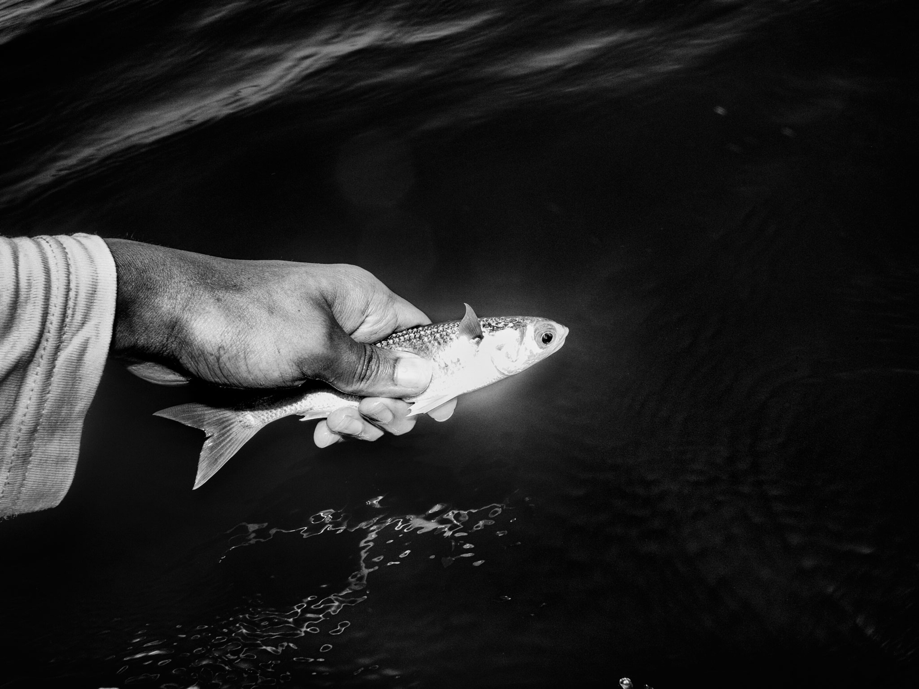a man holding a fish