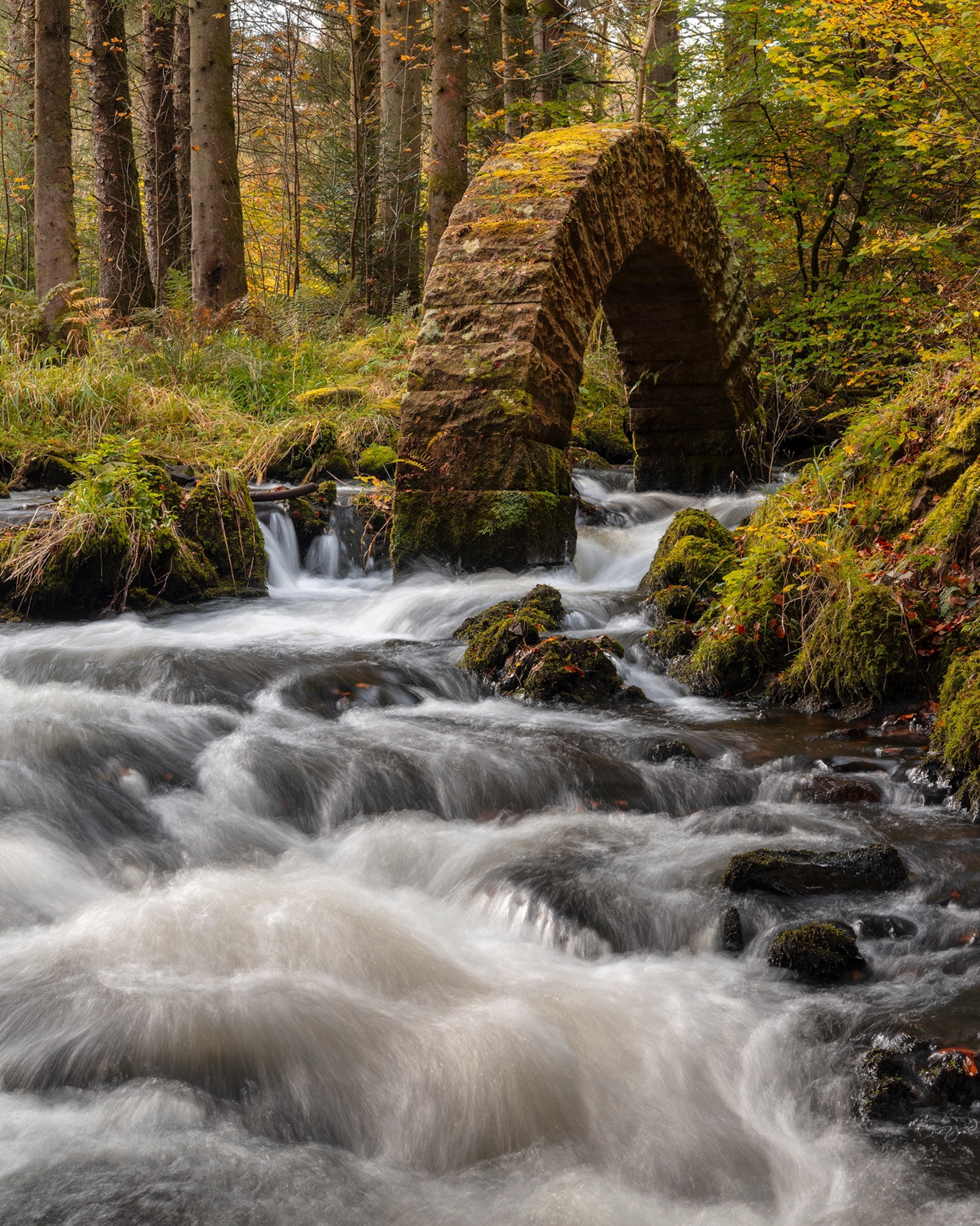 A moss-covered stone arch bridge spans a fast-flowing stream in a forest, with clear water rushing over rocks and autumn-colored trees surrounding the scene.