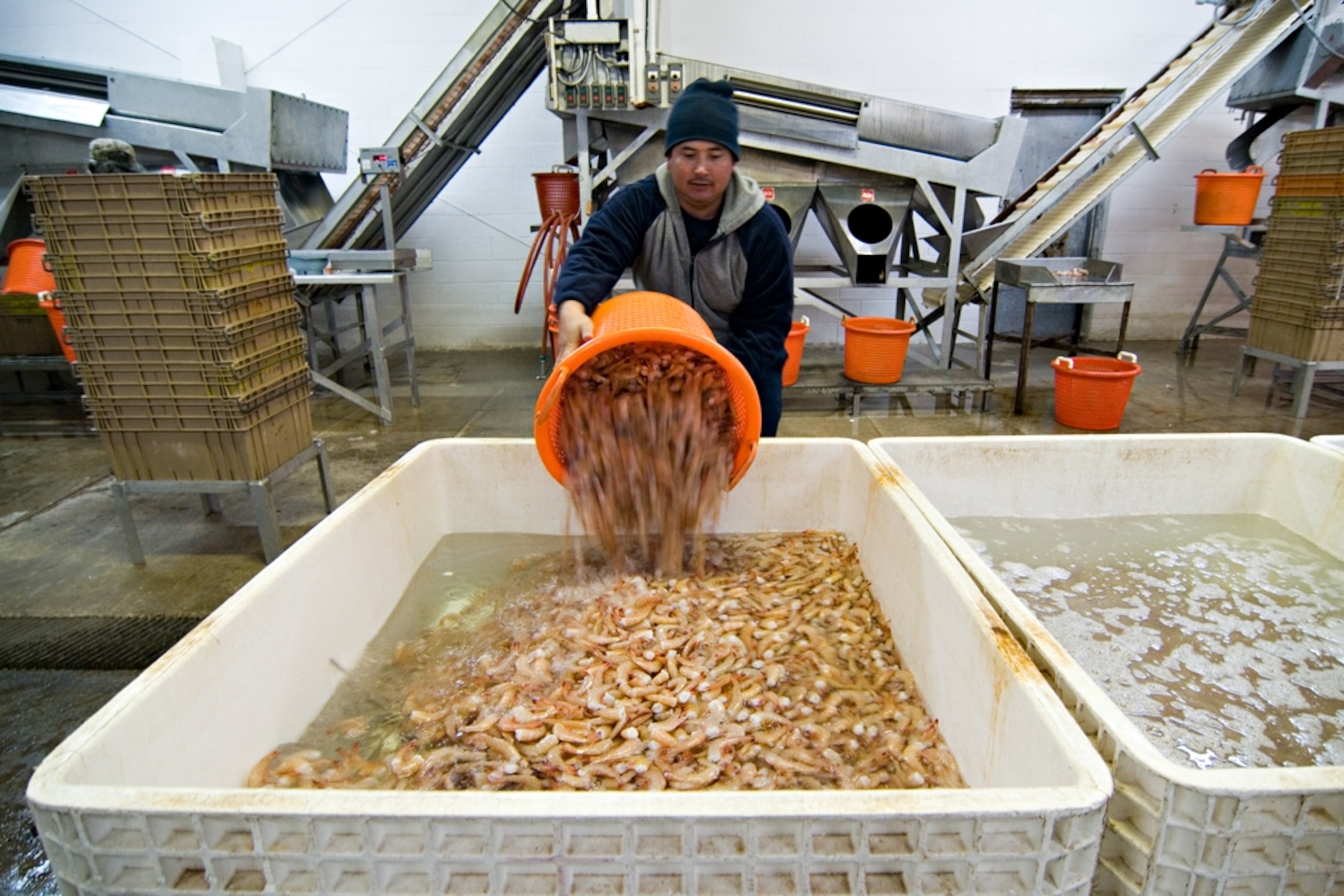 Photograph by Paul Goyette, Creative Commons 2.0