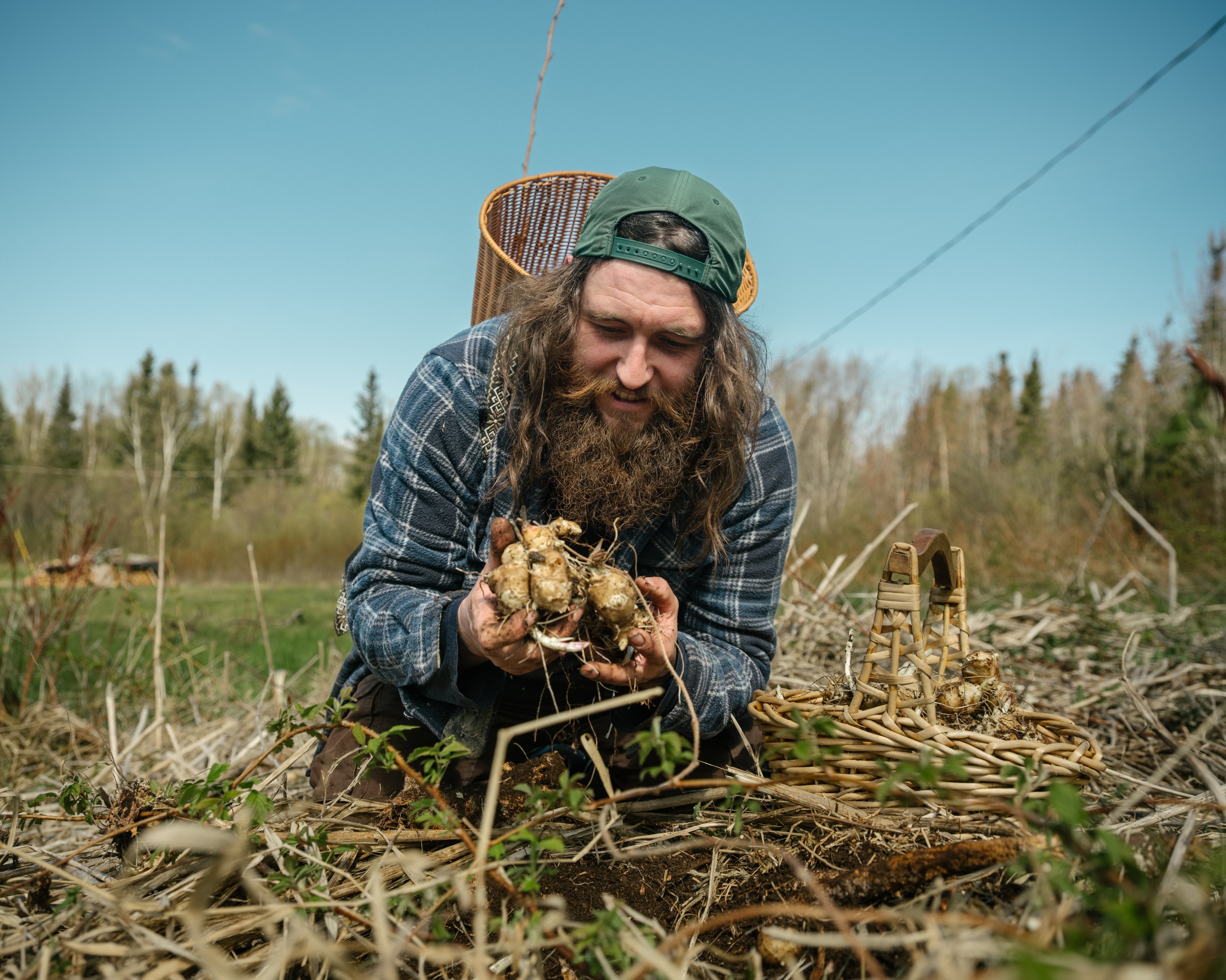 Local forager, Canada