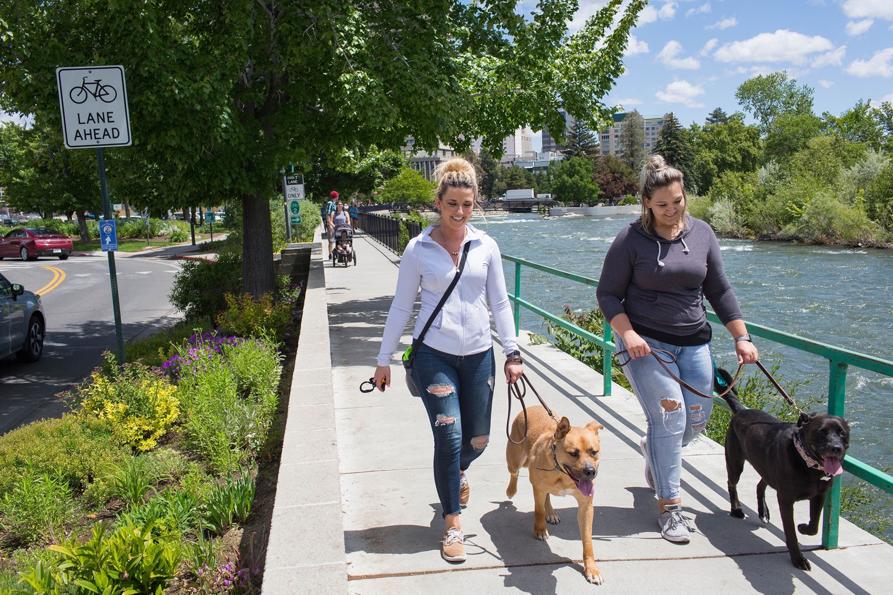 A woman walks her dog.