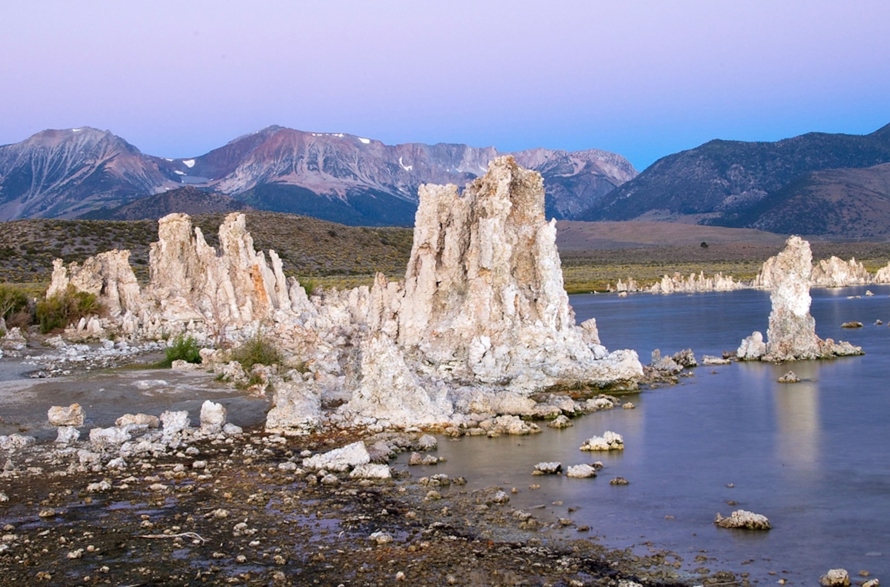 Mono Lake, California, has high levels of arsenic.
