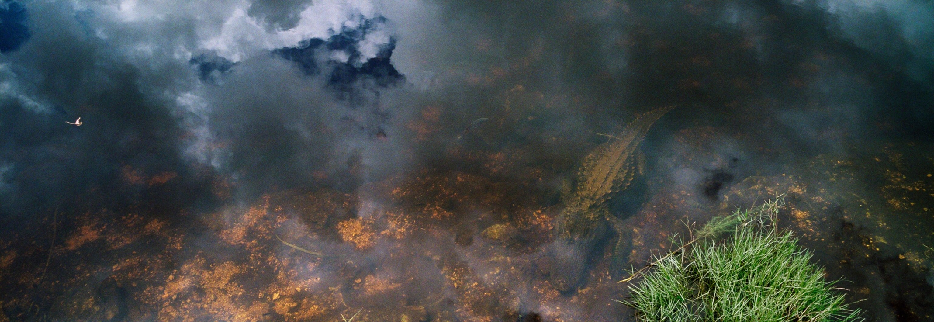 The furthest point south on the mainland of Everglades National Park, Eco Pond early in the morning on the way to Flamingo.
