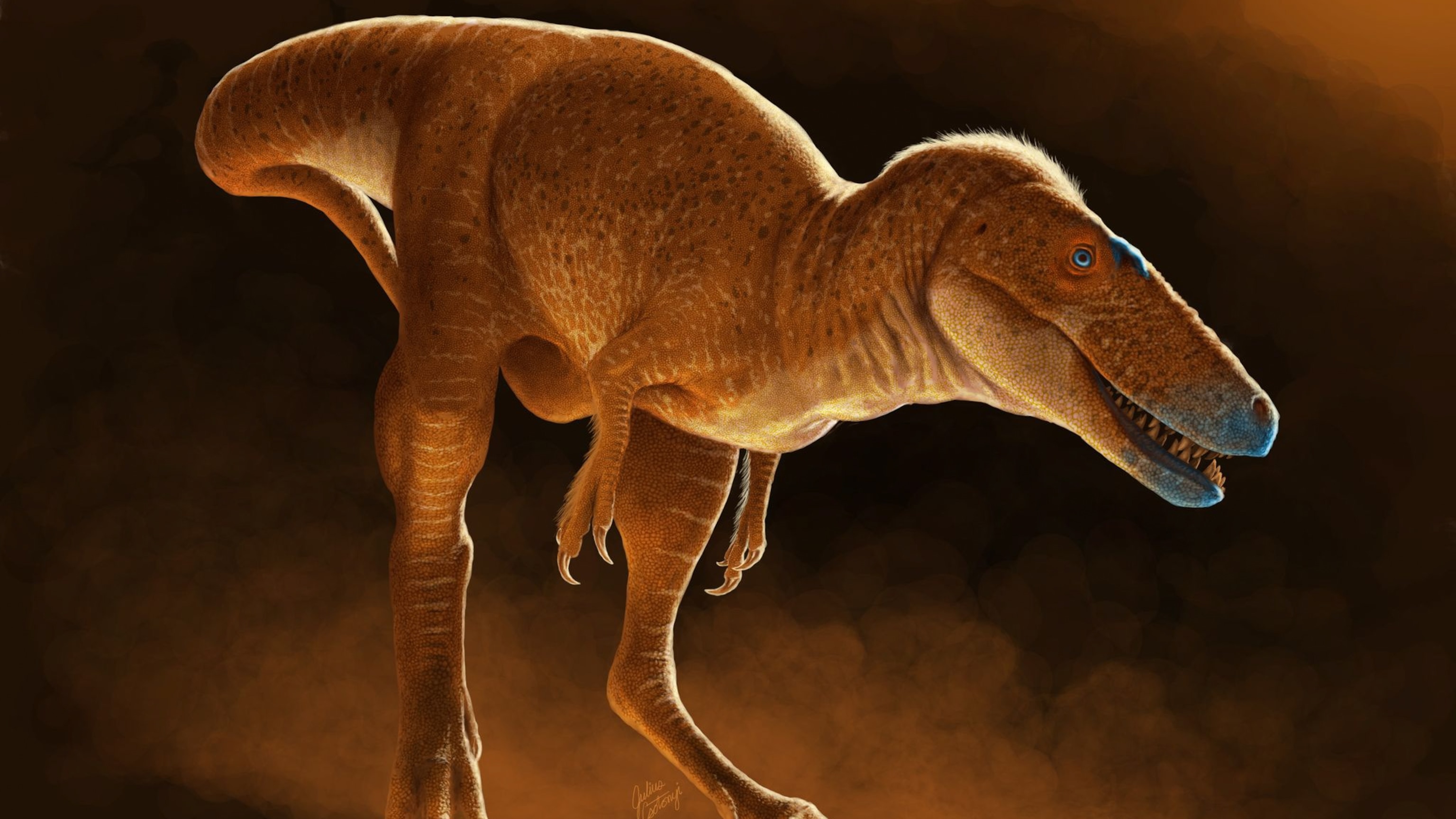 Scientists discover ‘dragon prince’ dinosaur, the T. Rex's missing ancestor