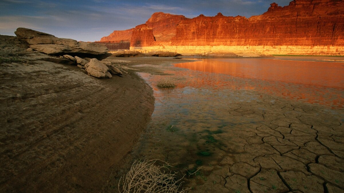 Habitats Threats to Desert Pictures, Wallpapers, Downloads