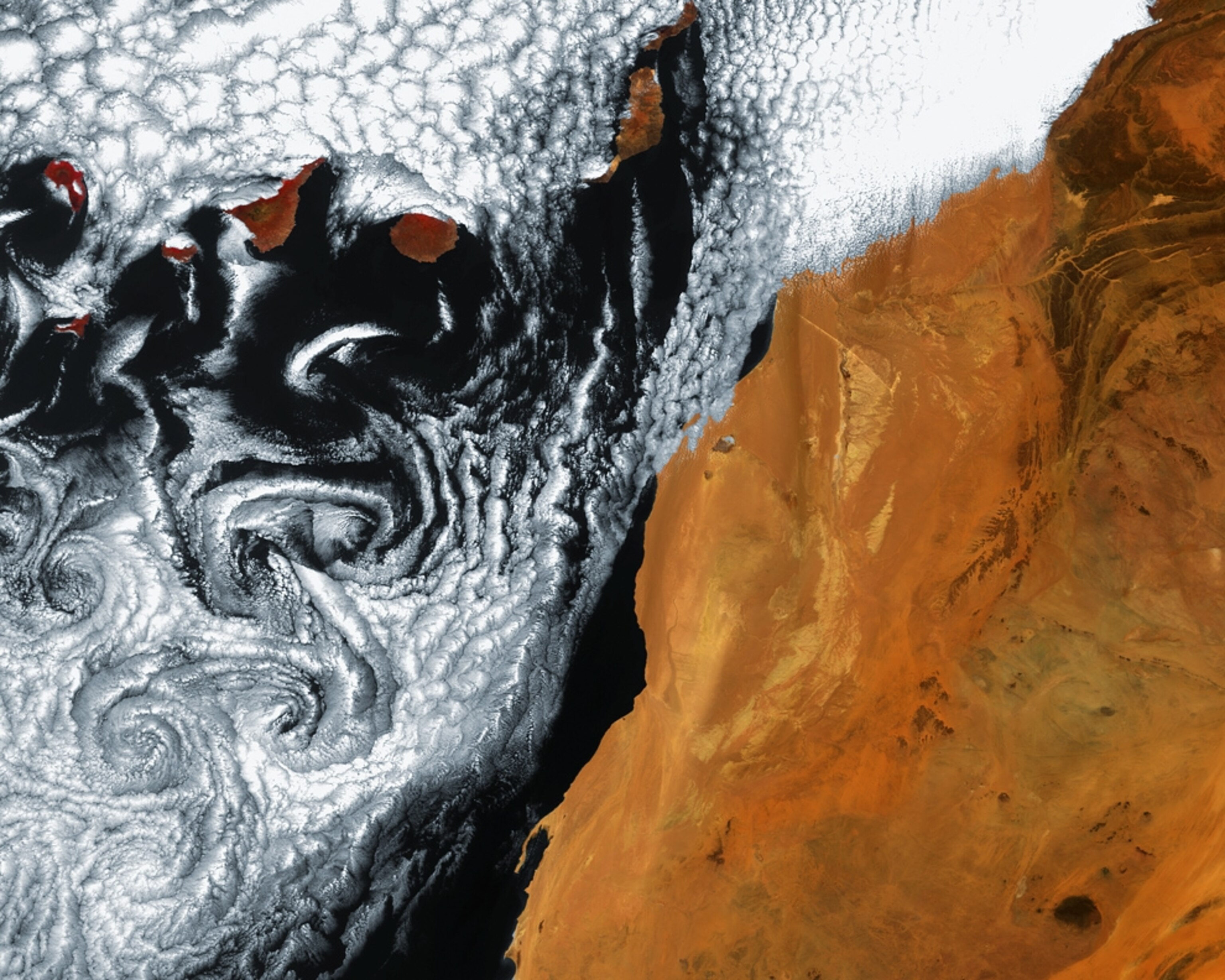 Whirlpool-shaped vortices of clouds are seen in a satellite picture