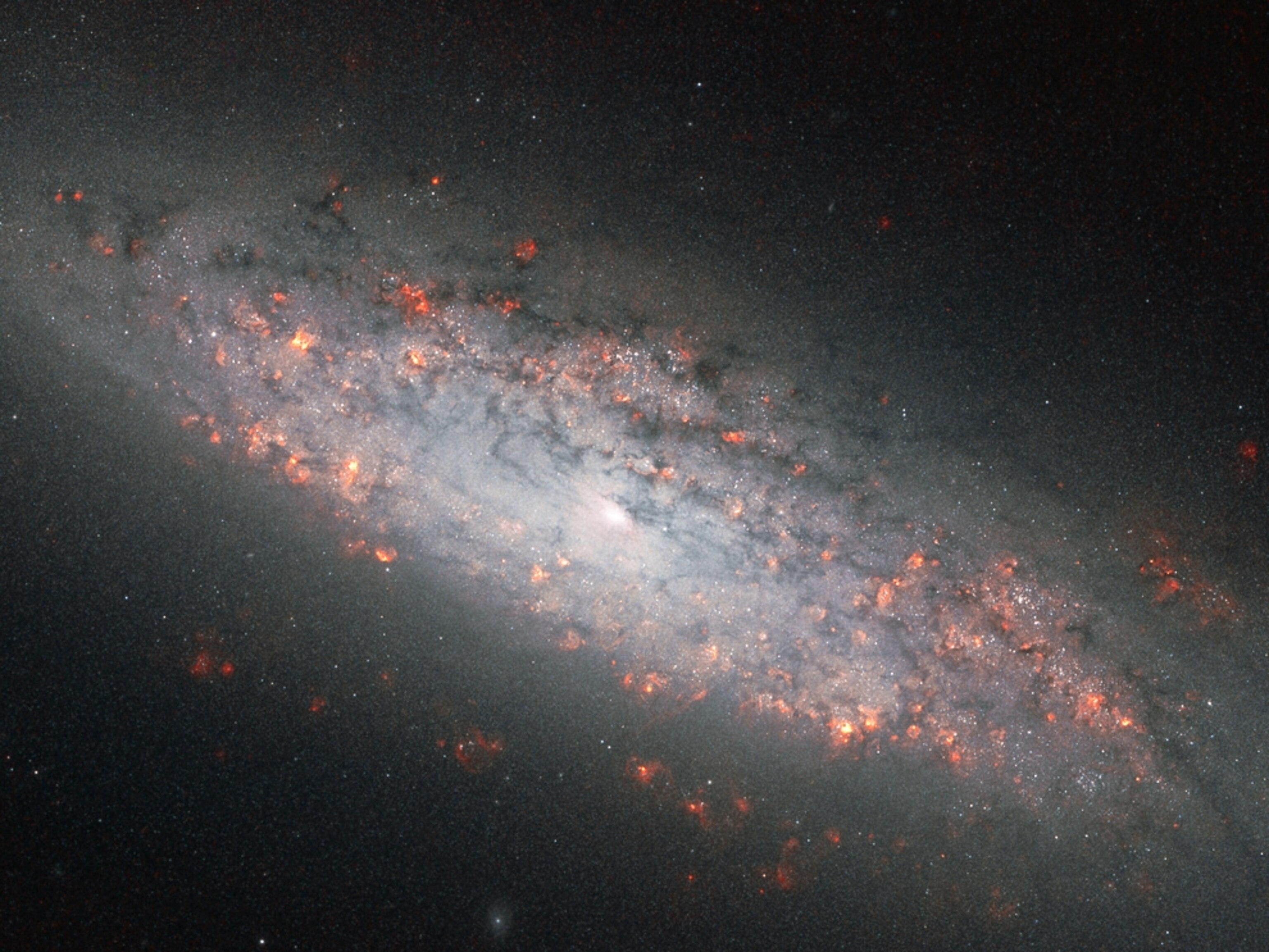 Red regions of star formation in the dwarf spiral galaxy NGC 6503 picture.