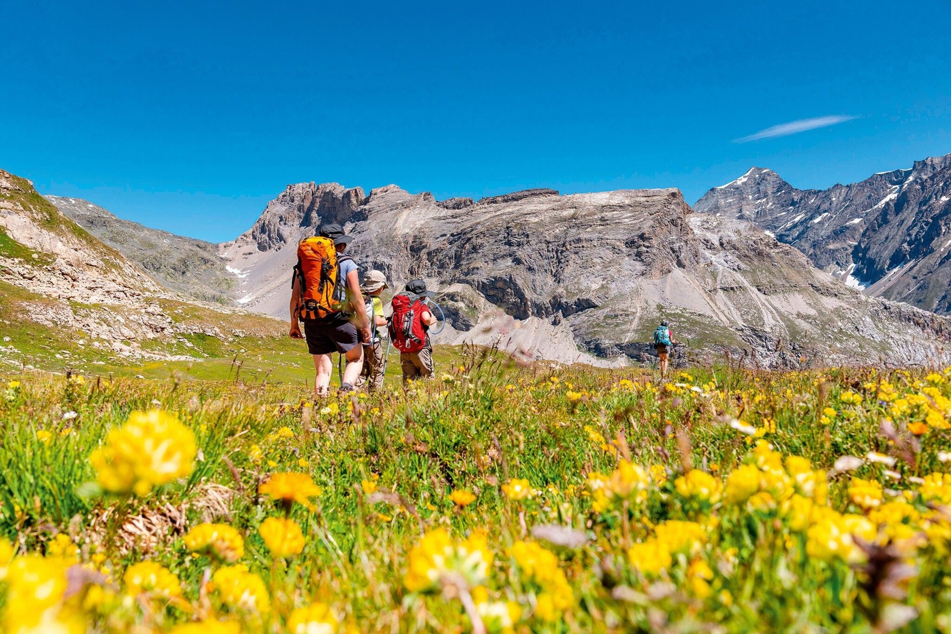 Hikers descending a mountain with spring flowers in the foreground.