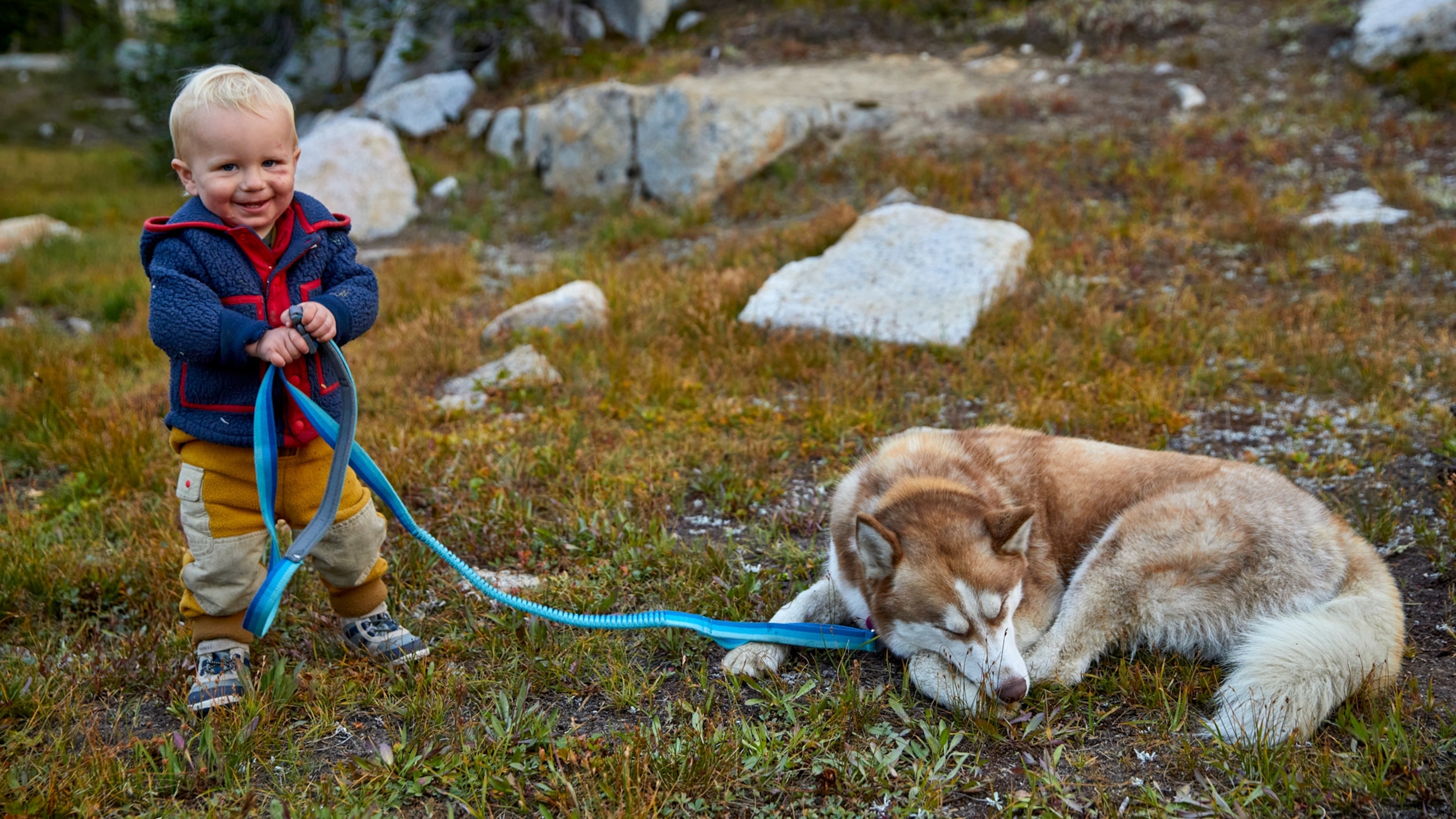 Do you call your dog your 'furbaby'? It's not an obsession—it's science