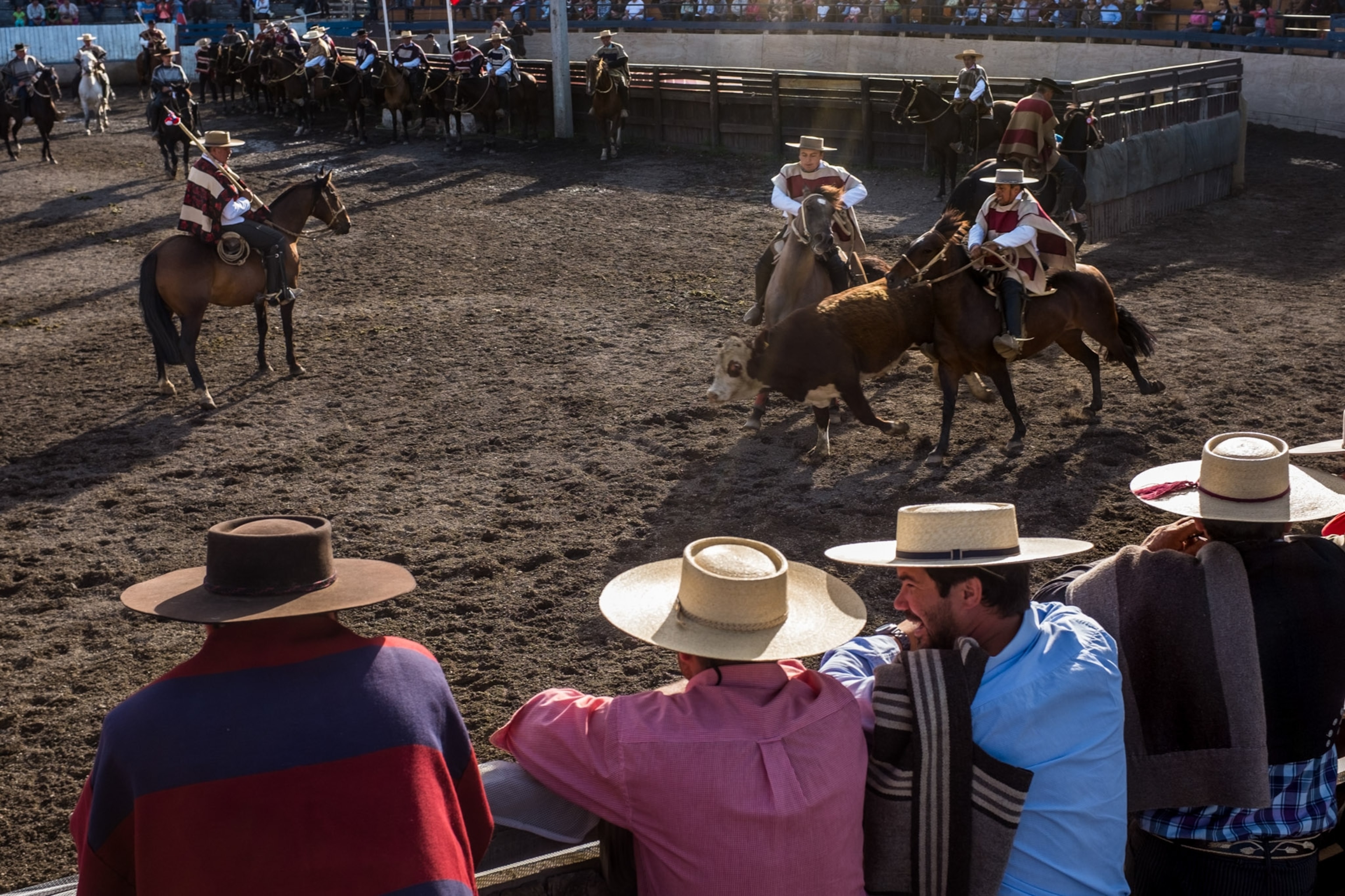 a rodeo in Coyhaique, along the Carretera Austral, Aysen Region, Patagonian Chile