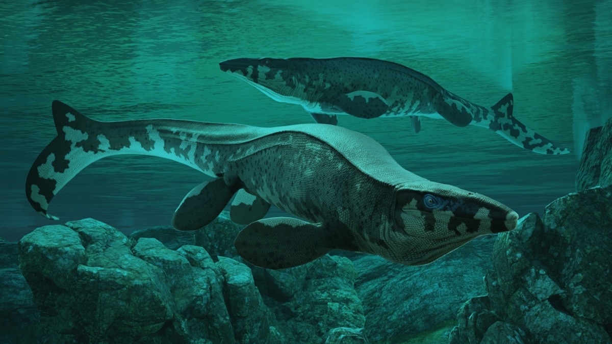 Exclusive Theres a new T rex in townand this giant beast ruled the seas  Yahoo