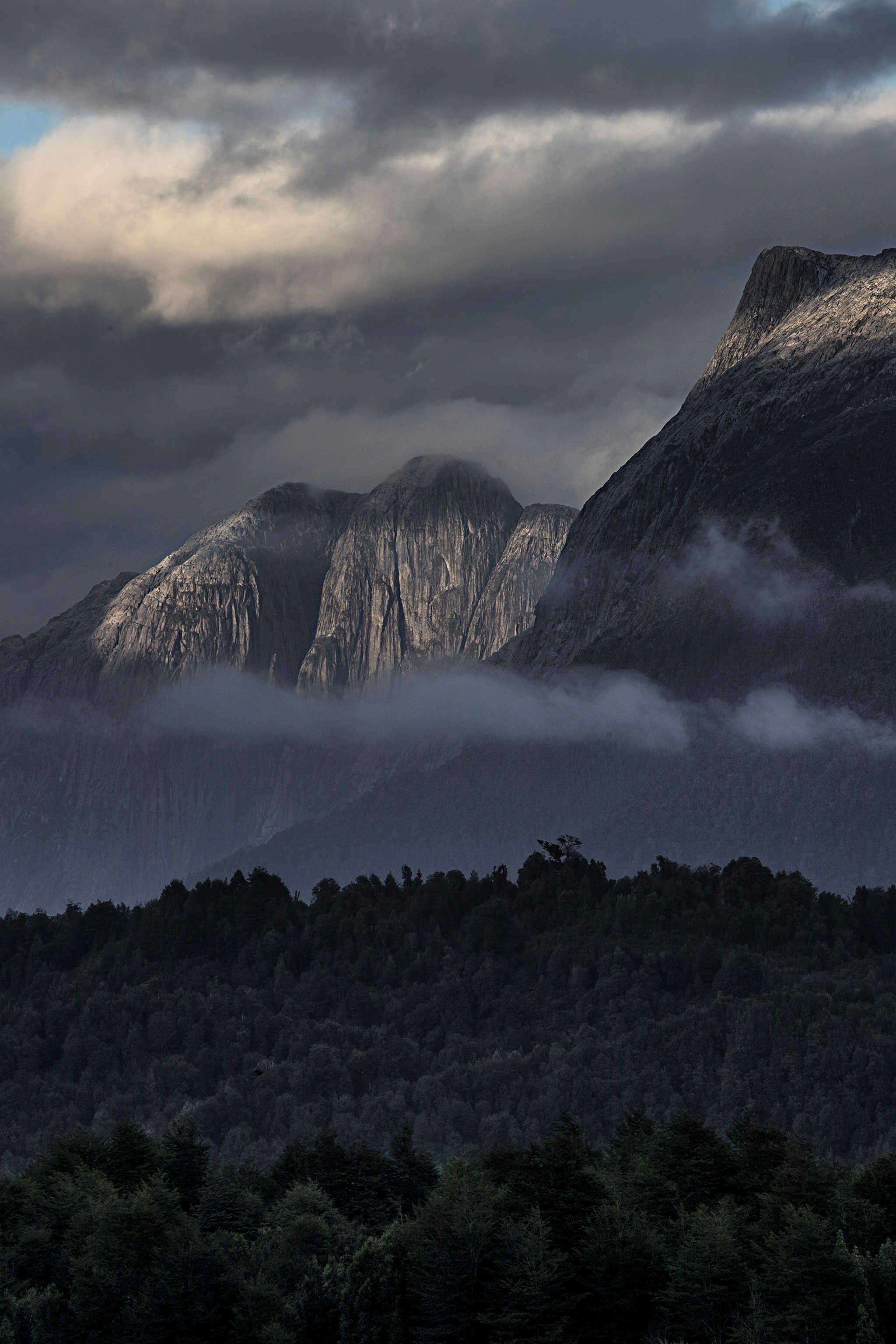 Pumalín Park in Chile
