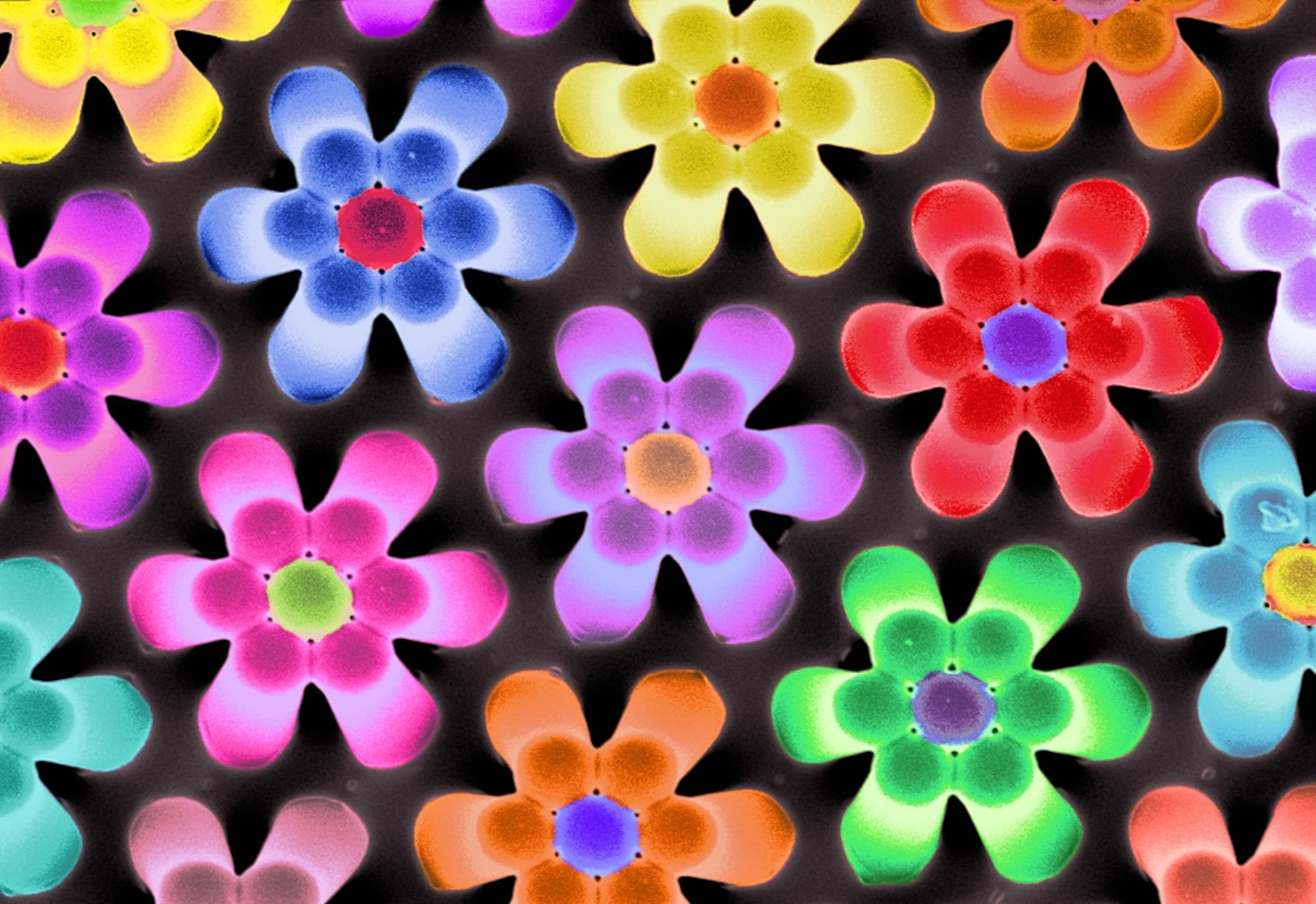 a colorful group of fake "flowers" -- among the best science pictures of 2009