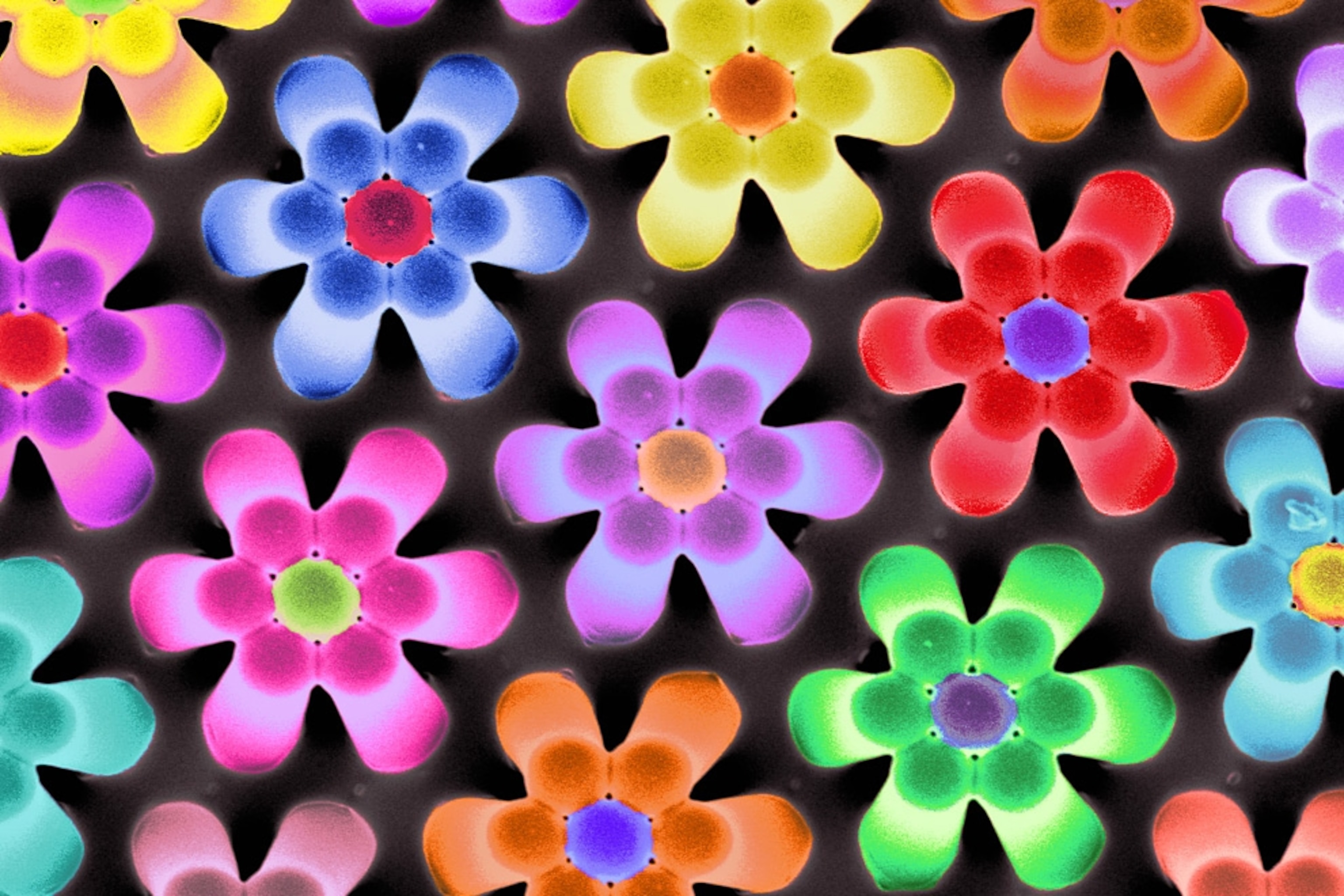 Best Science Pictures Announced