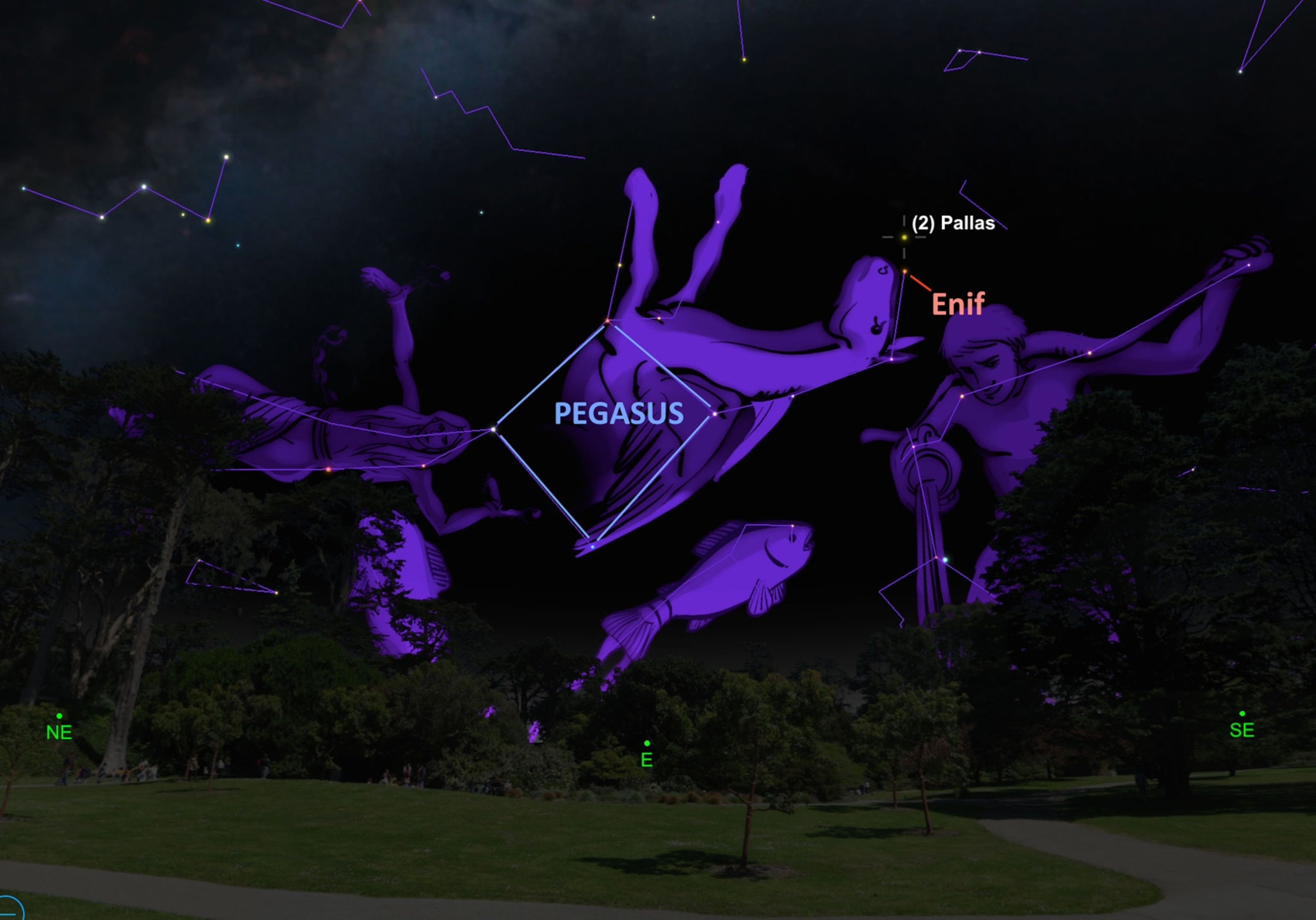 a chart mapping out the Pegasus and Enif constellations