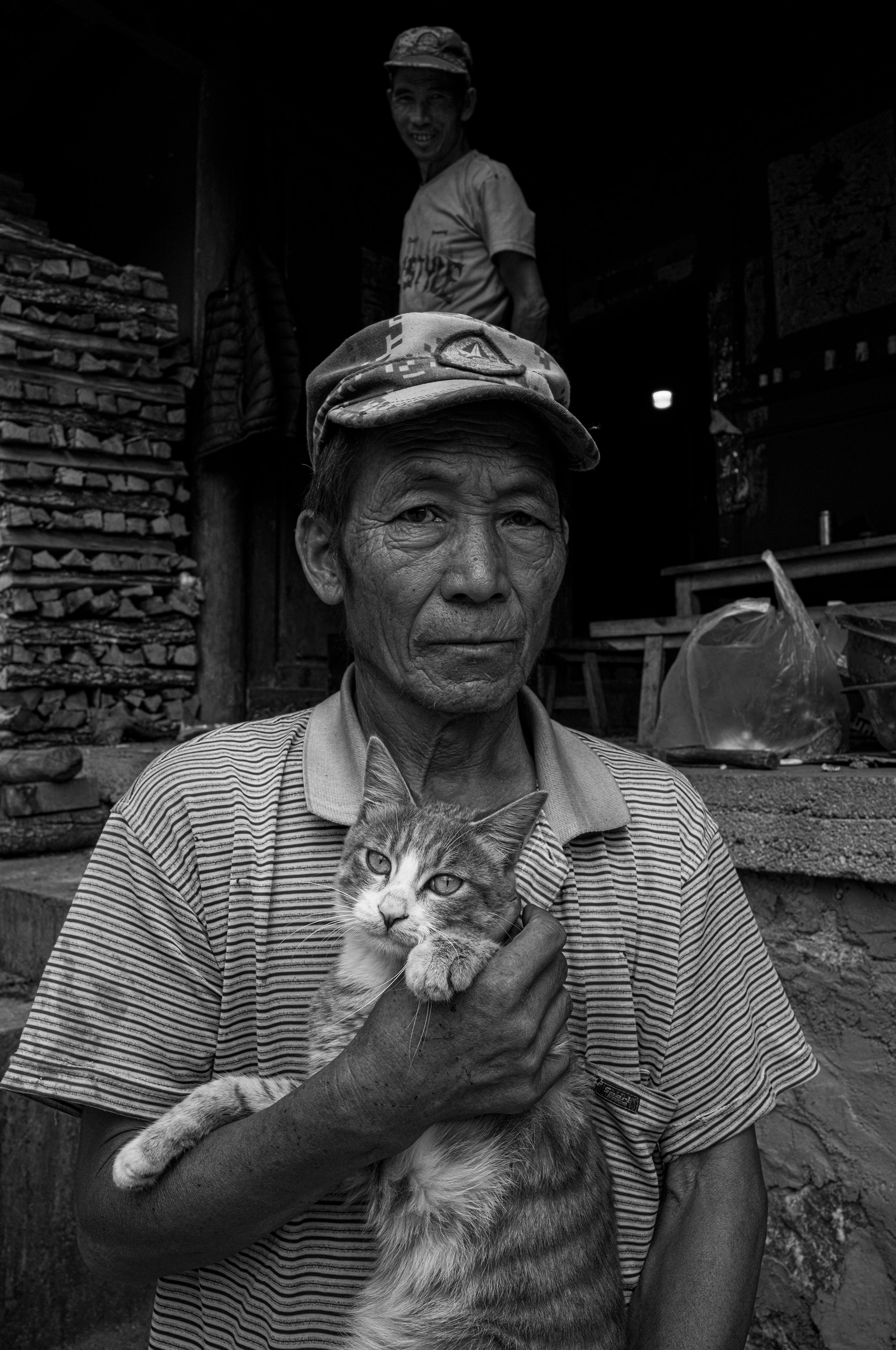 A Cat and Some Friends