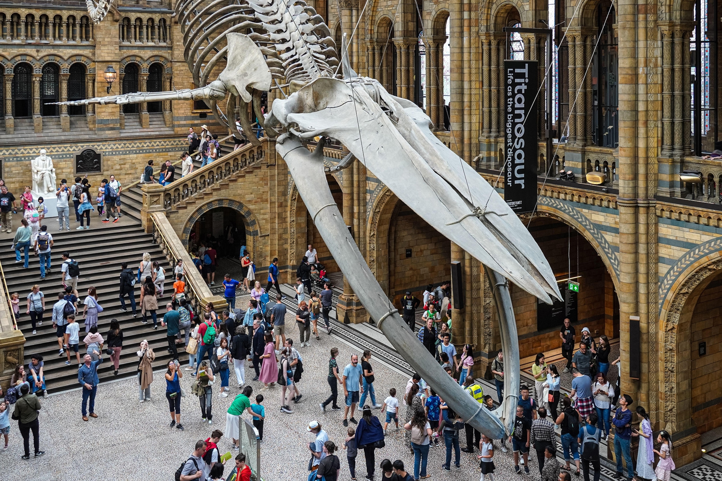 A whale skeleton suspended in a big hall of a museum with visitors marveling at the animal.