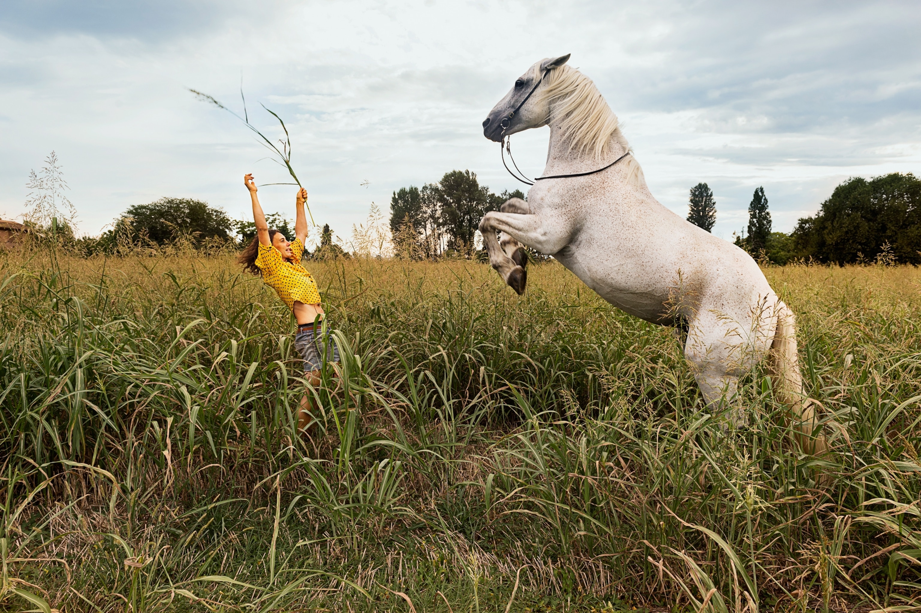 Picture of woman training her white horse in a field.