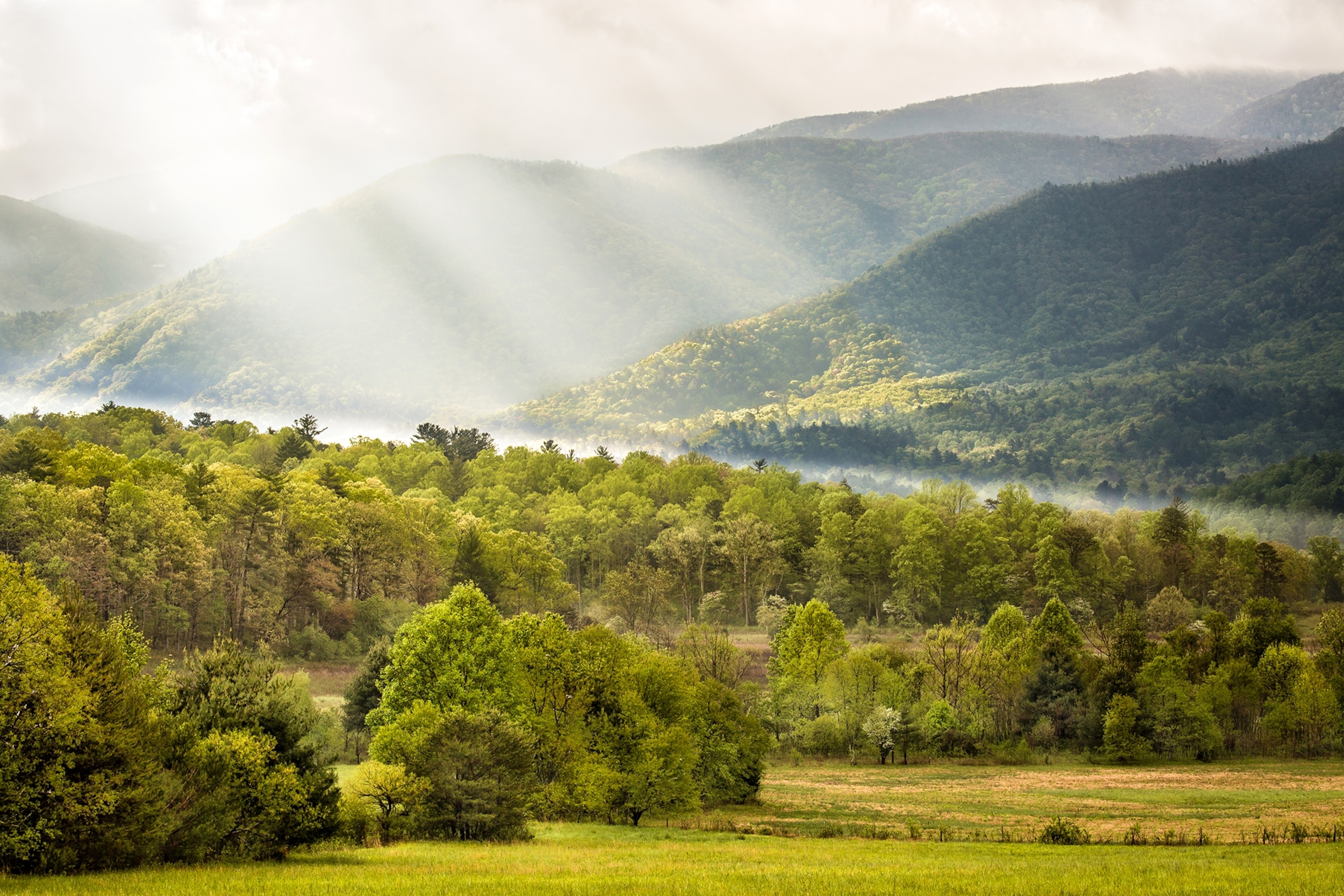 the Great Smoky Mountains National Park in Tennessee