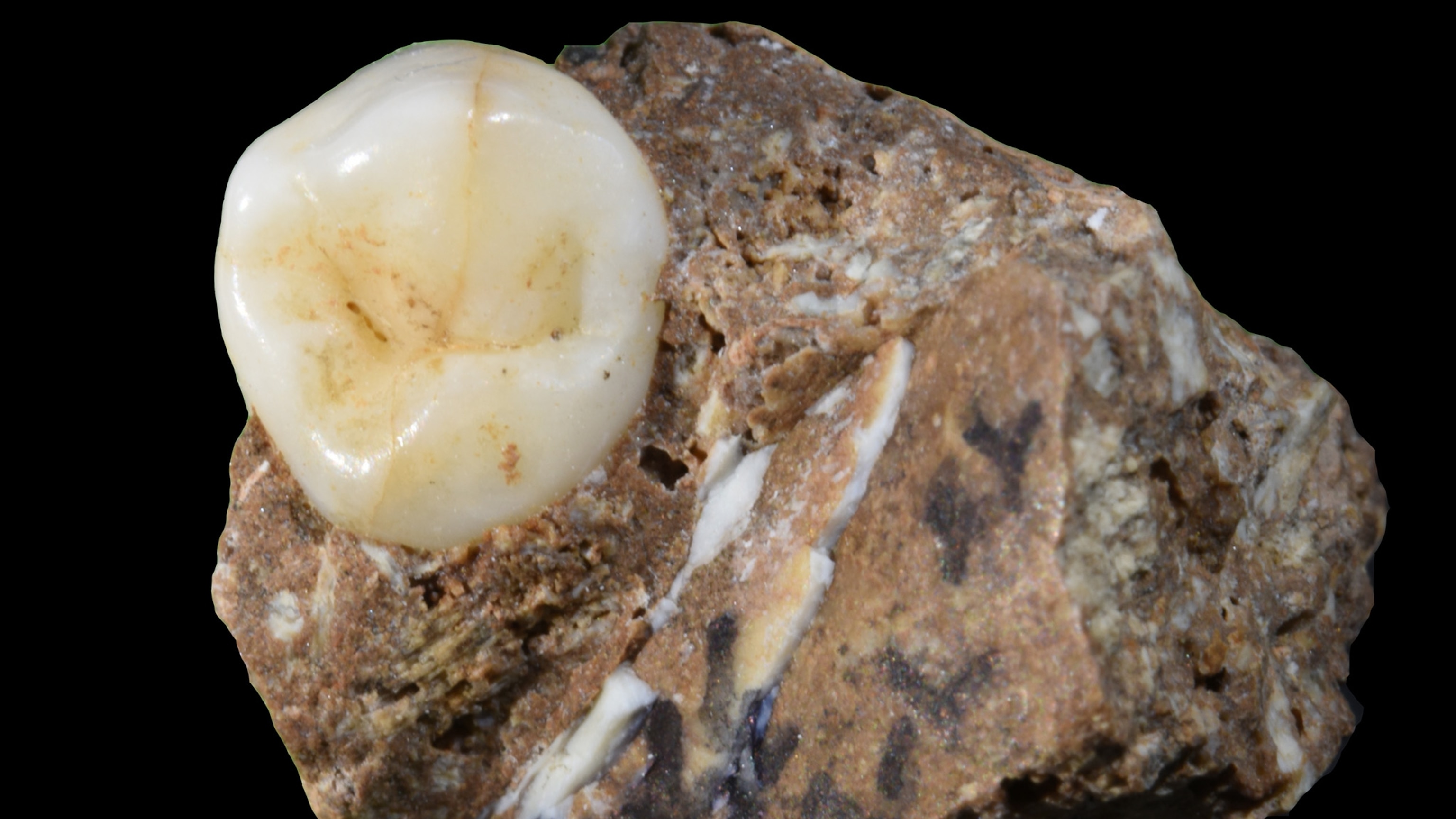 Researchers Discover Rare Denisovan Bones in a Cave in China