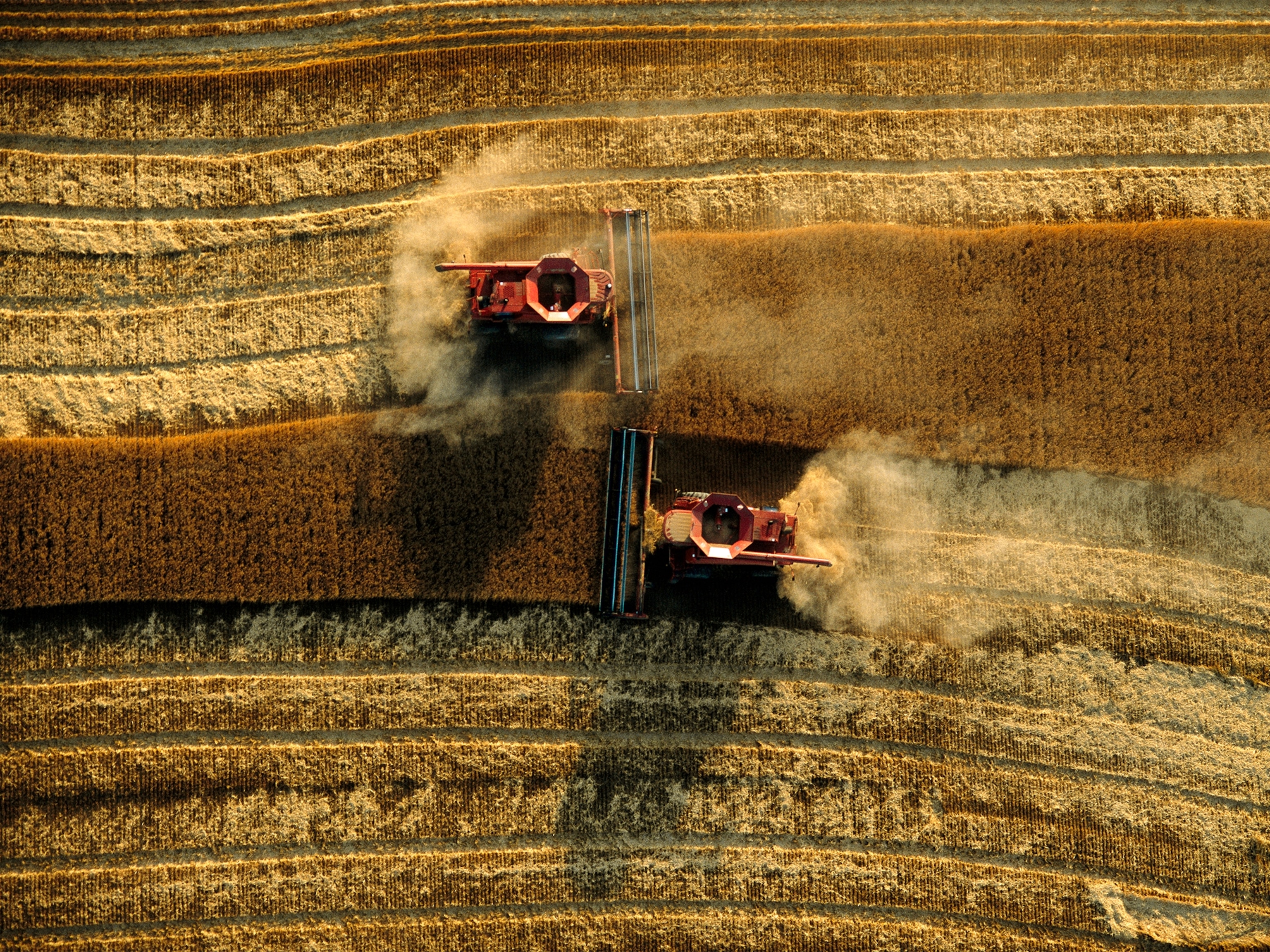 An aerial photo of a tractor harvesting wheat.
