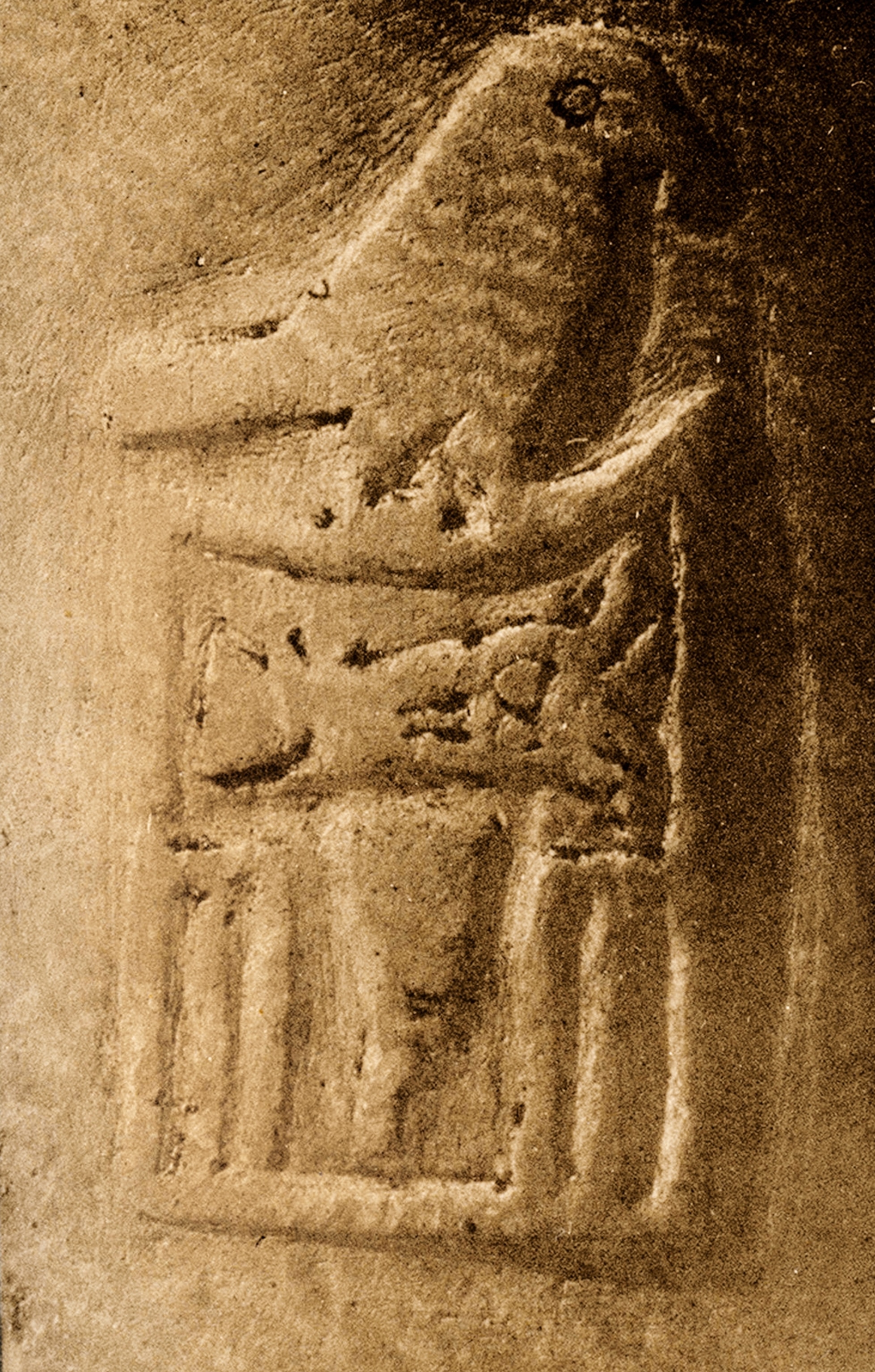 Pharaoh Narmer'S Death: A History Channel Investigation - 1hcduin