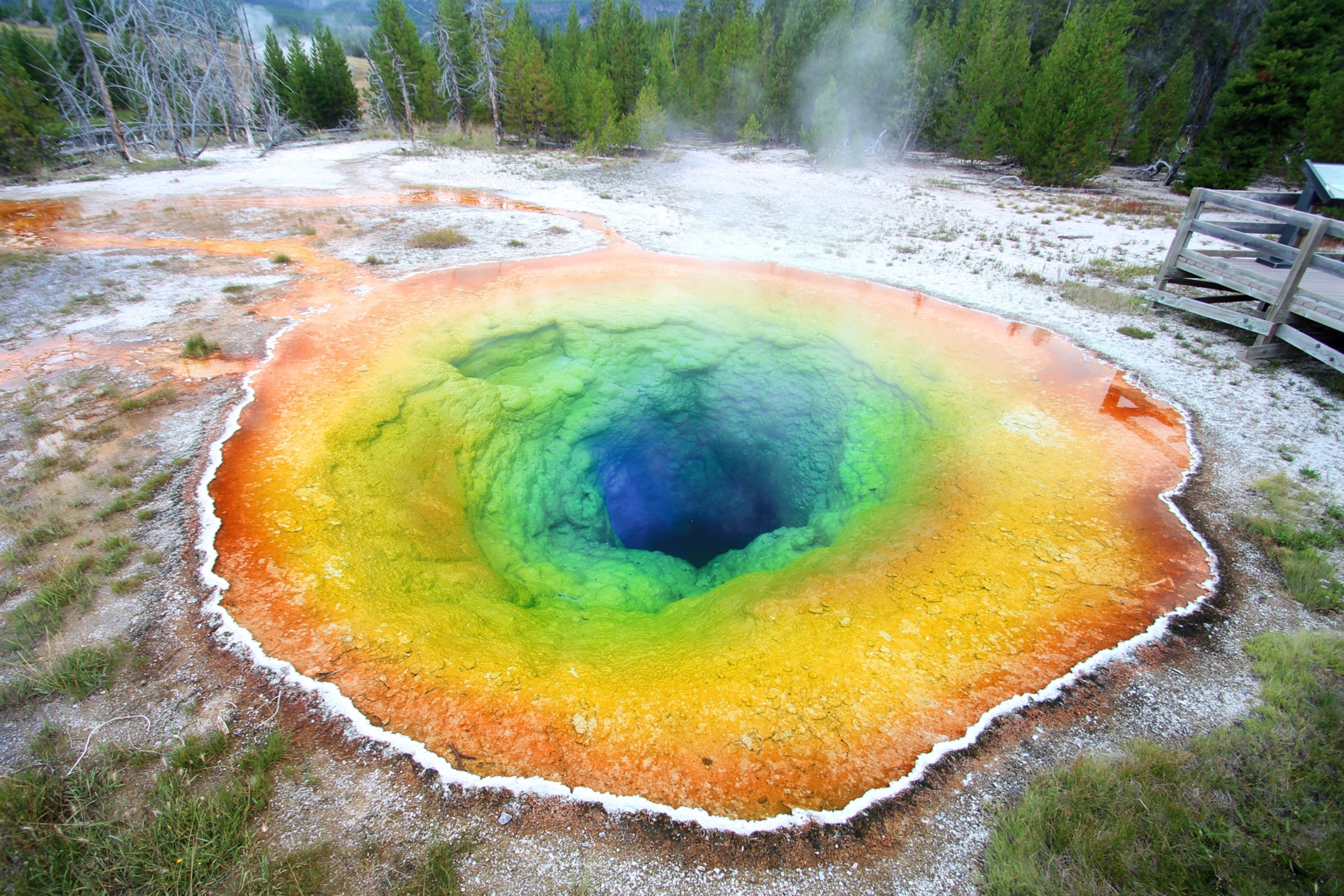 Morning Glory Pool at Yellowstone National Park