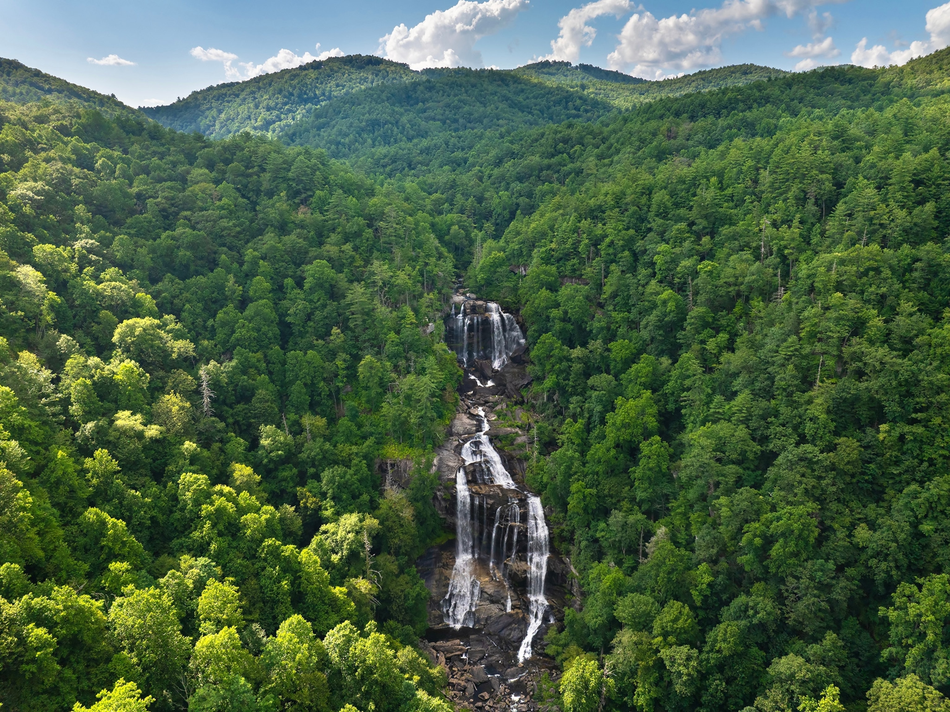 Waterfall and trees