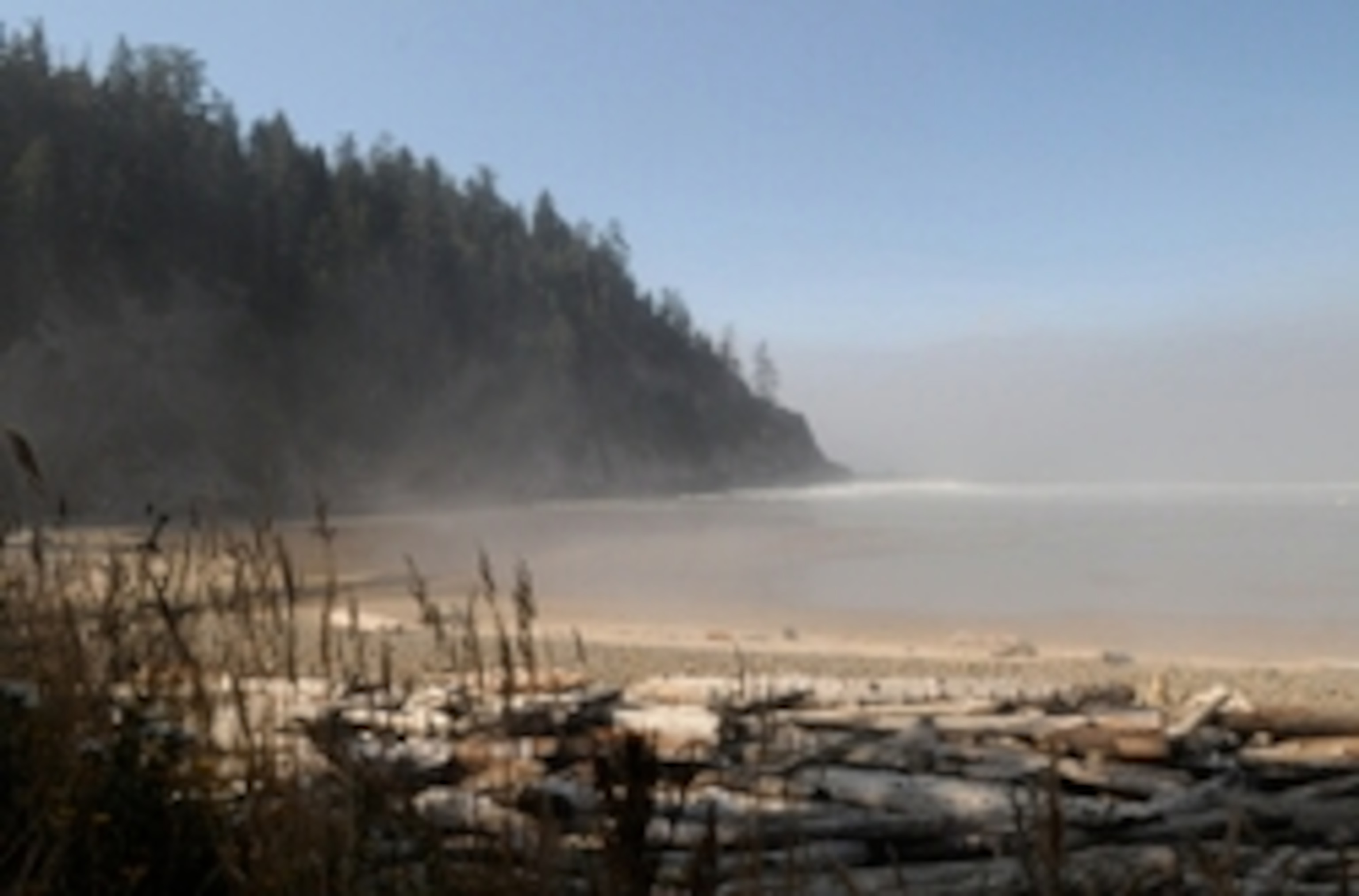 Oswald West State Park