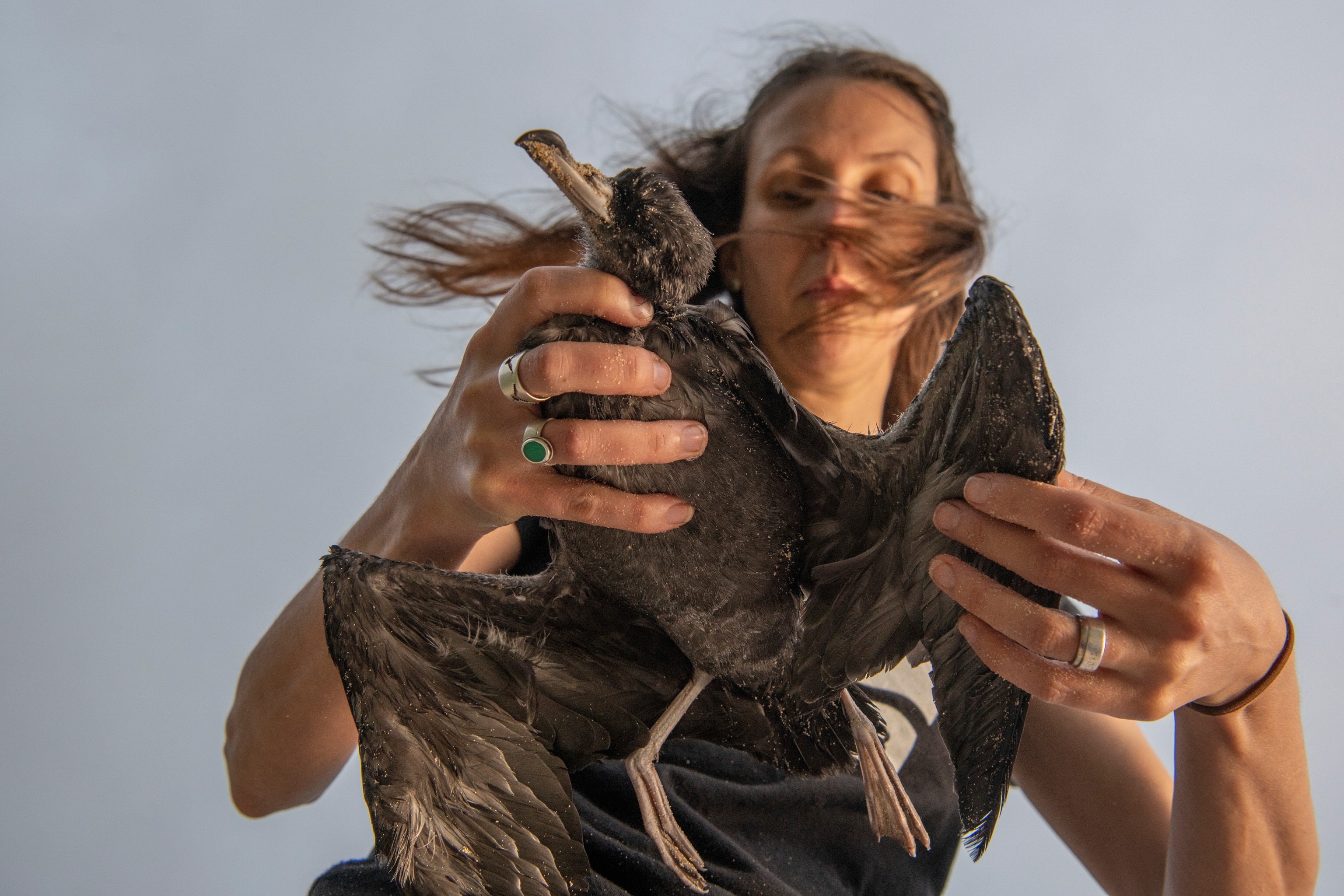 A woman holds a dead bird in her hands as she examines it