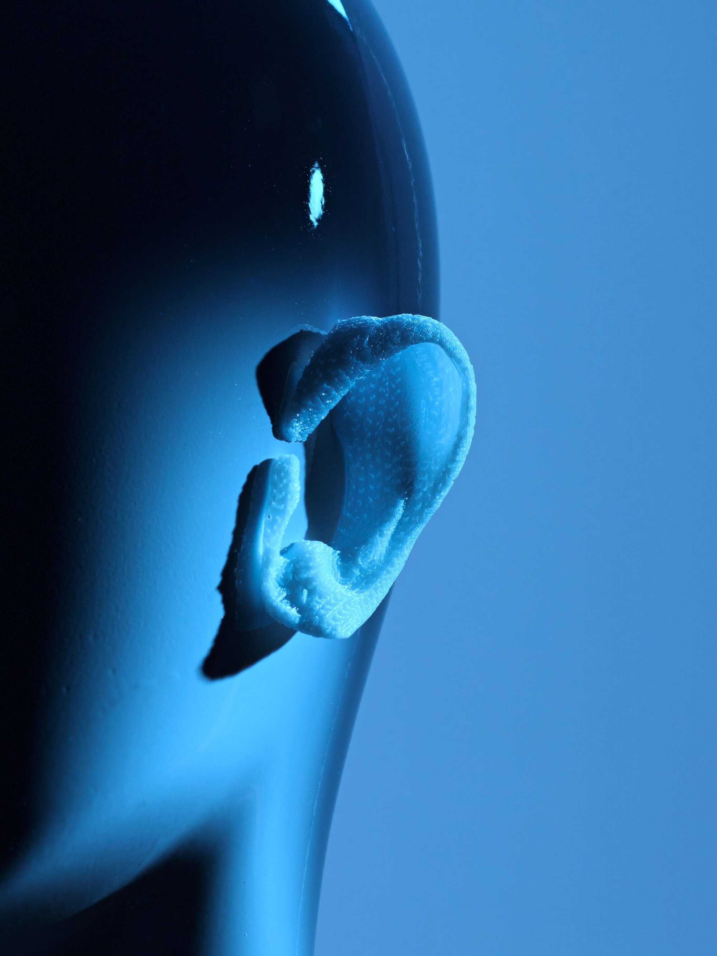 a plastic 3d printed ear scaffold attached to the head of a mannequin