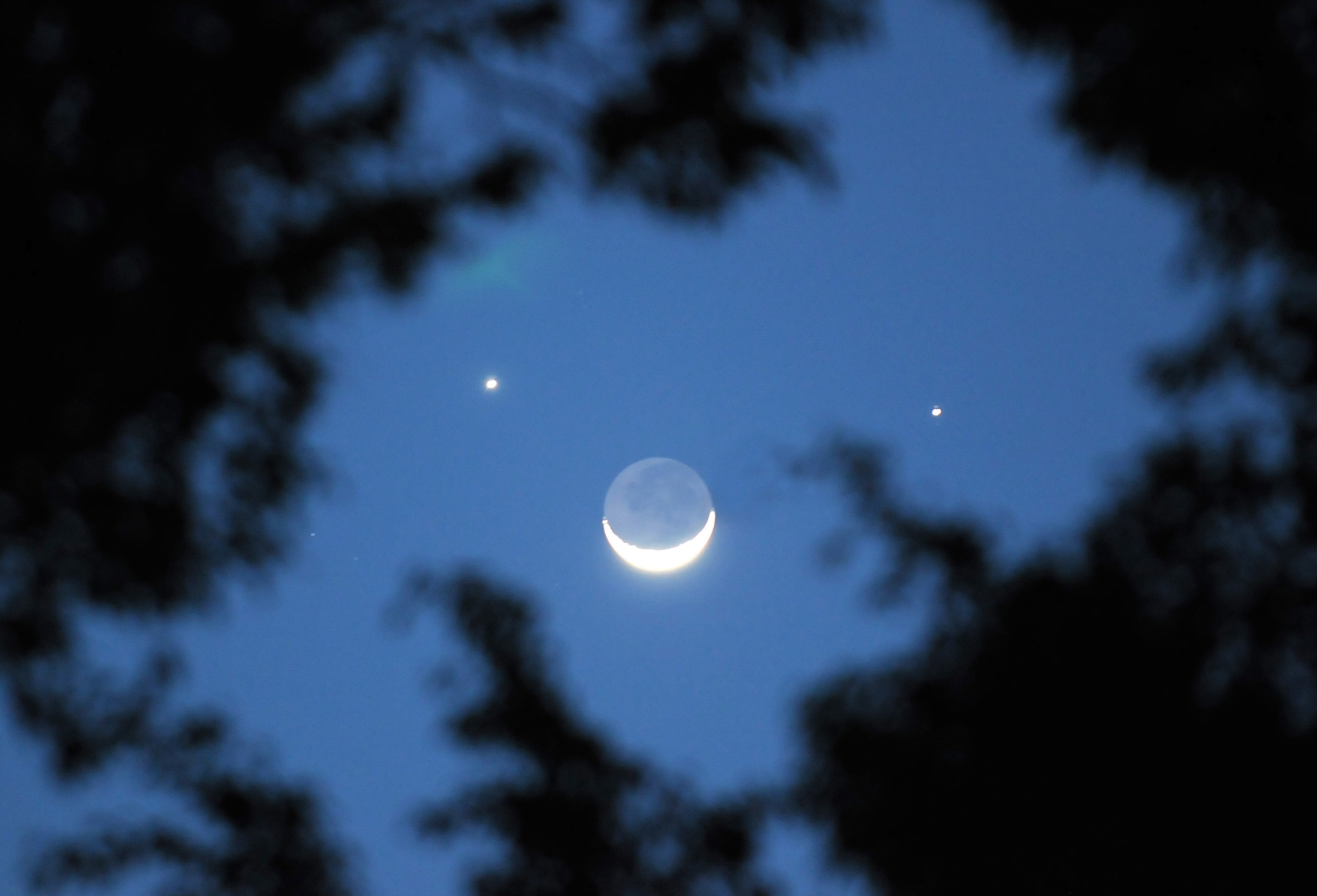 Crescent moon and two bright stars forming "a smiley face" in a deep blue sky, framed by silhouetted tree branches.