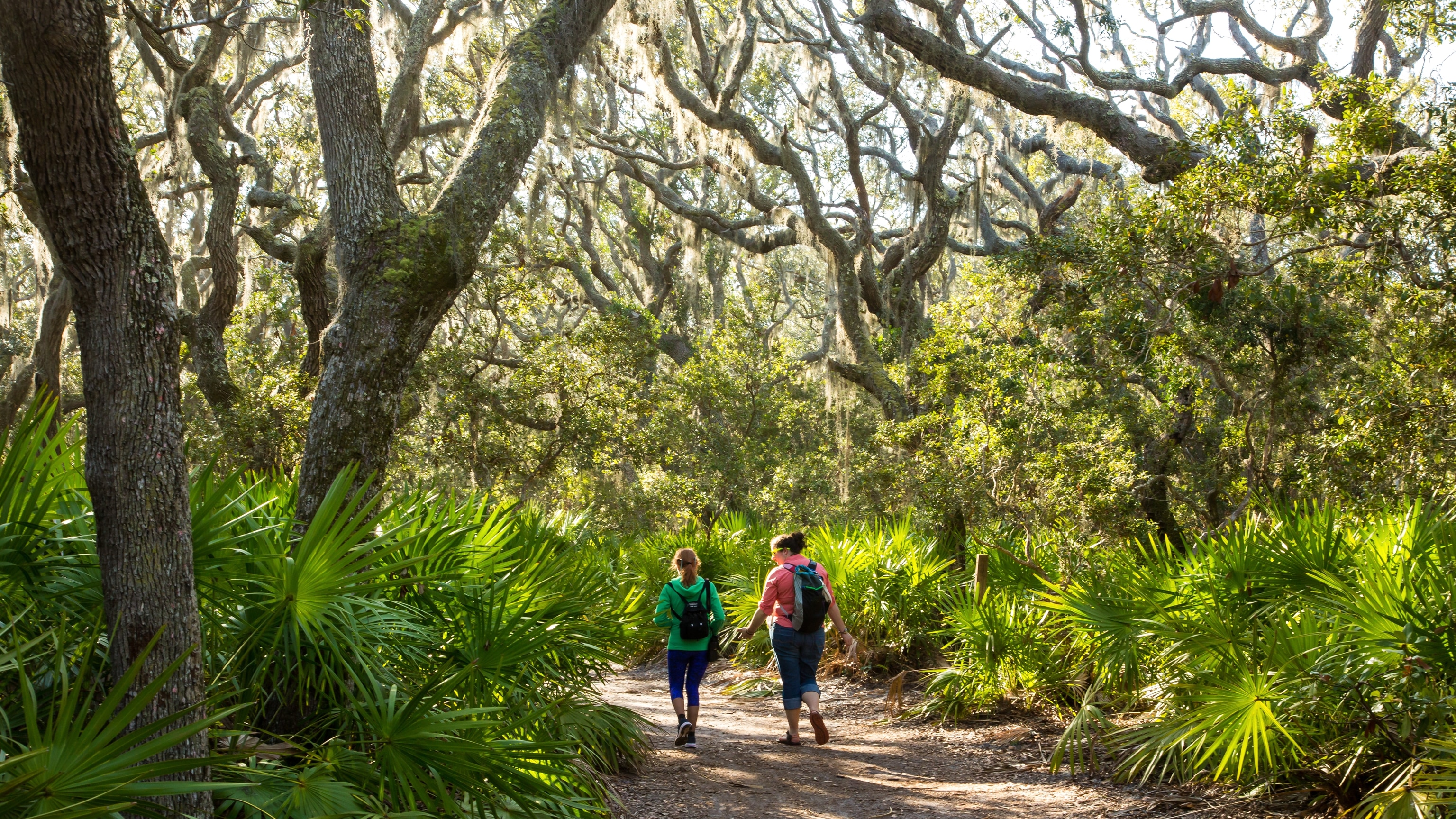 The wild island depicted in Love Story is fighting to stay that way