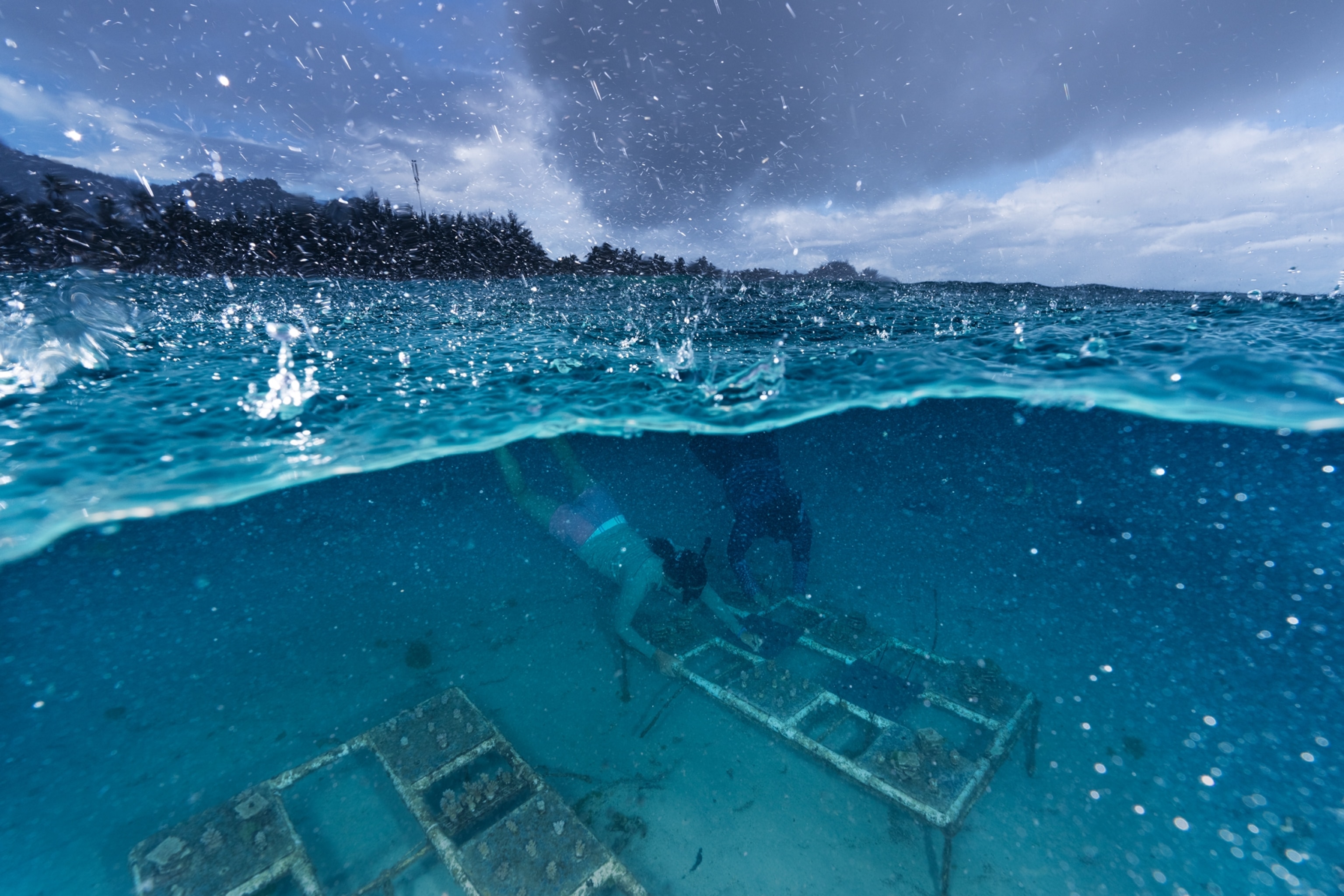 Underwater photo of a person swimming above coral nursery tables.
