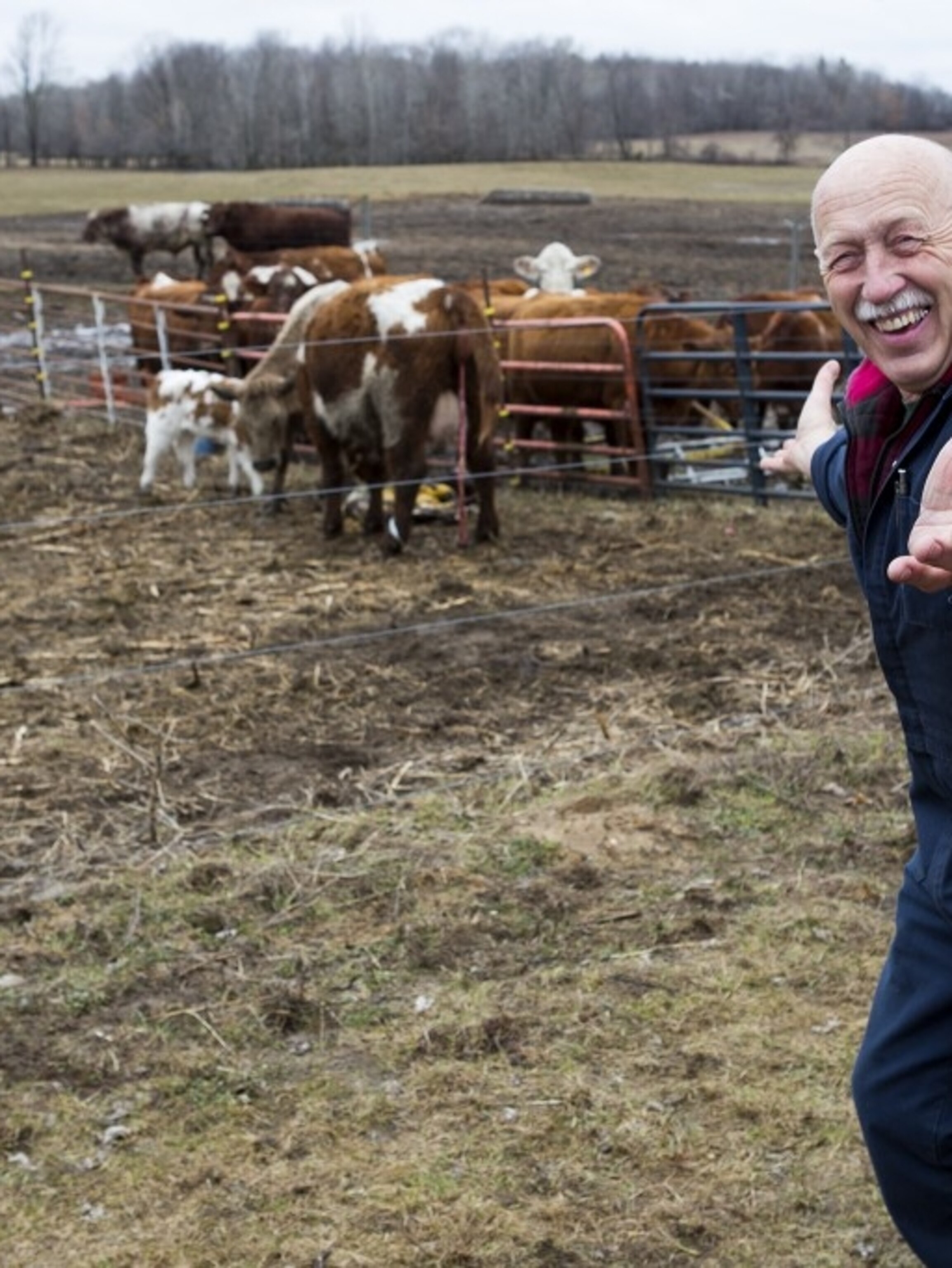 Q A The Real Story Of The Incredible Dr Pol