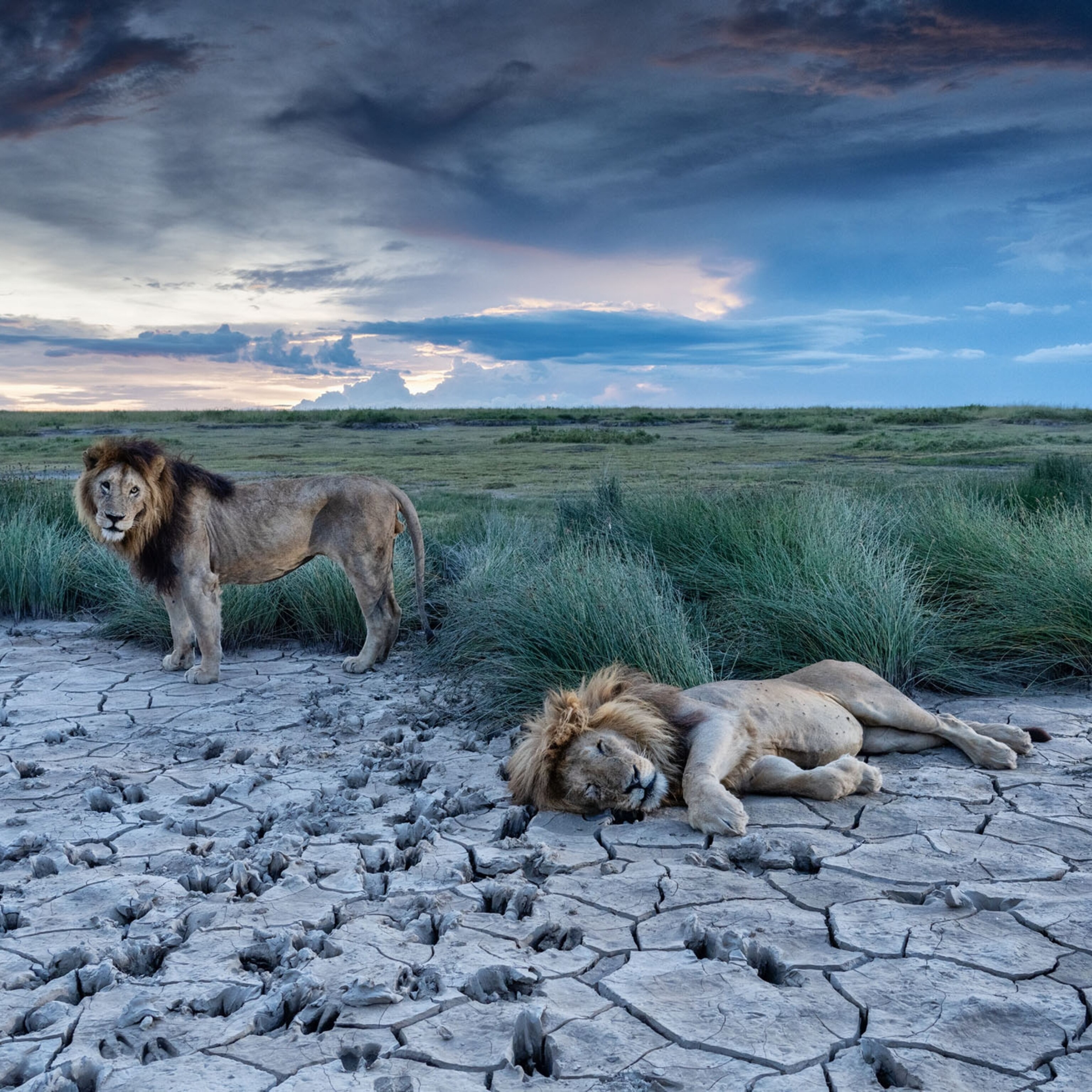 December 2021 Issue | National Geographic