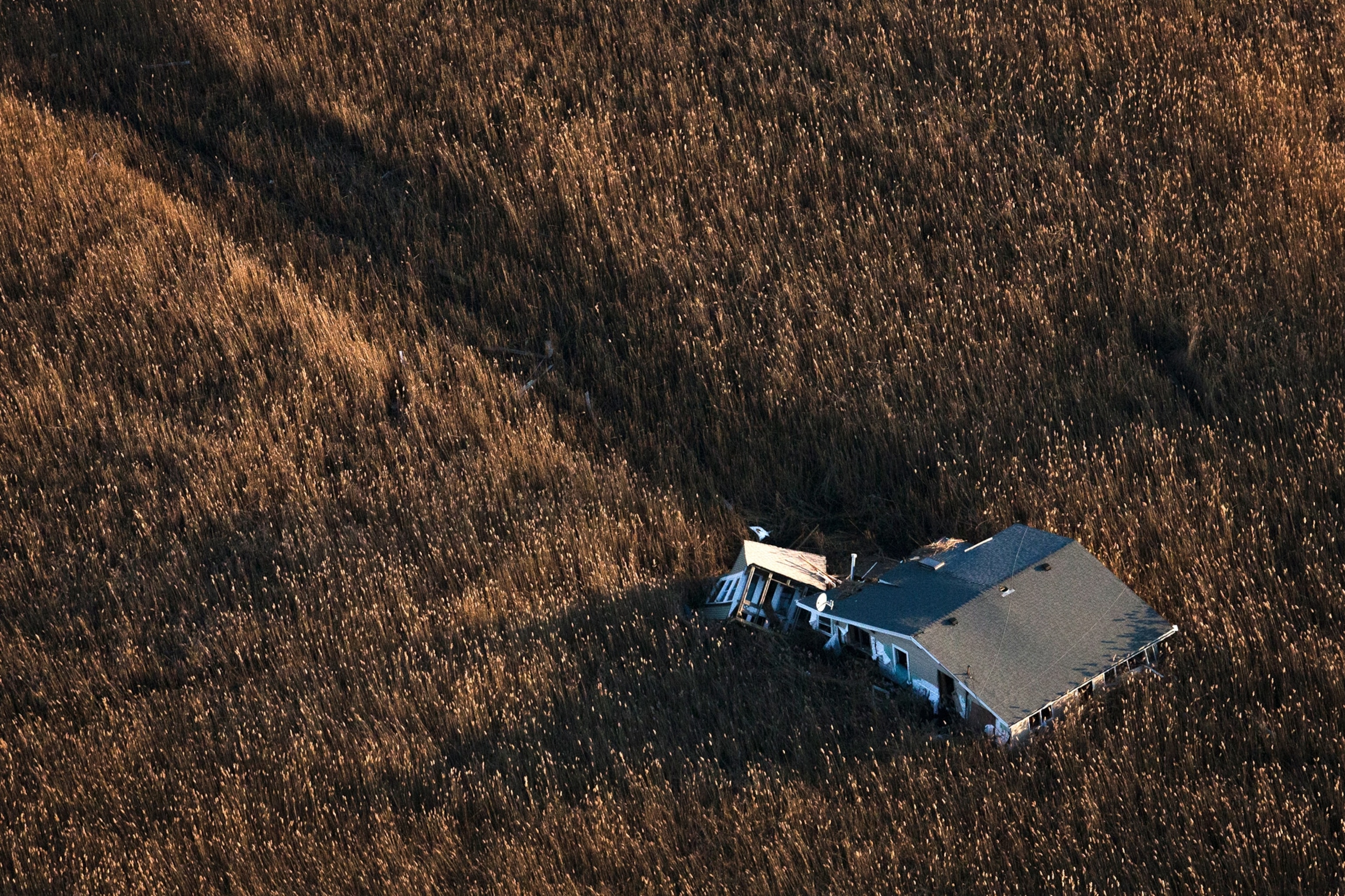 A strip of march along Jamaica Bay, Gateway National Recreation Area