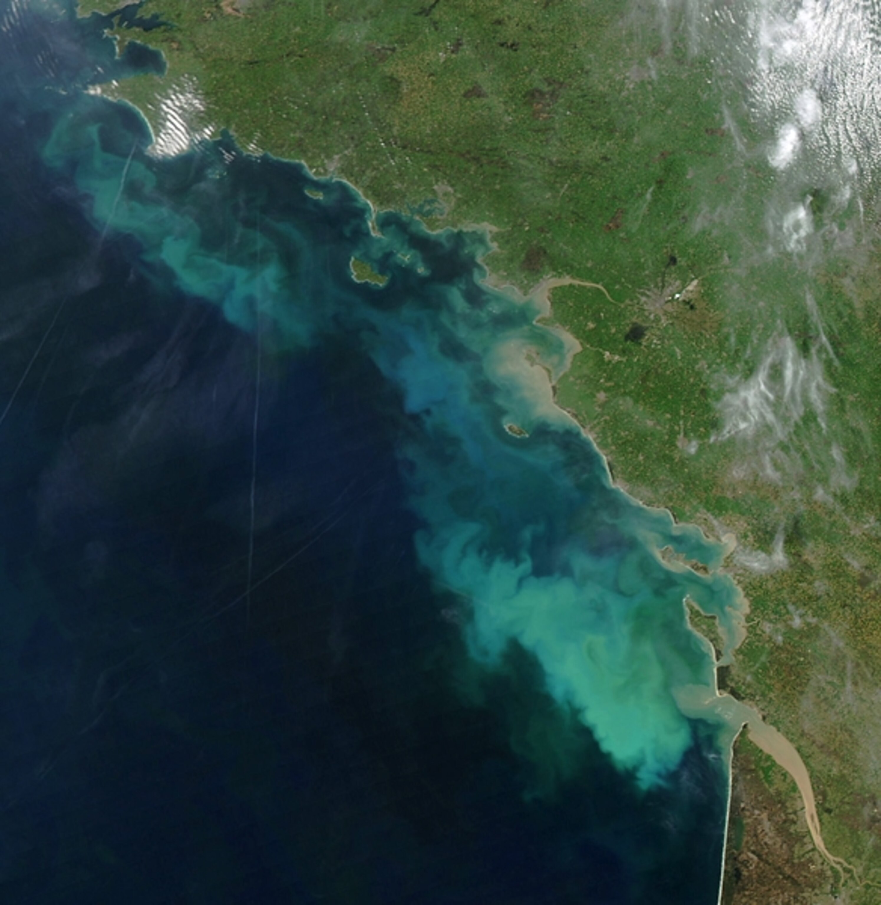 sediment and algae in the Bay of Biscay off the French coast