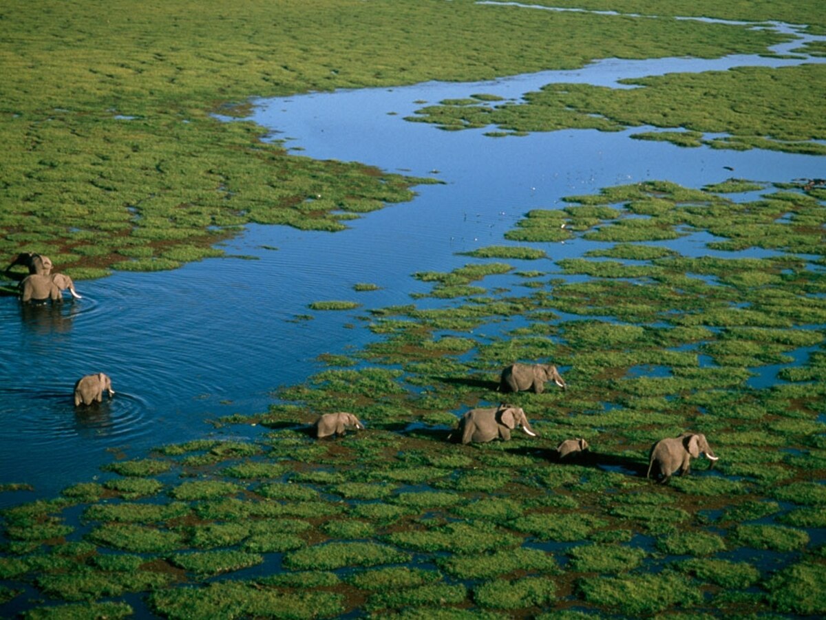 Kenya Photos National Geographic