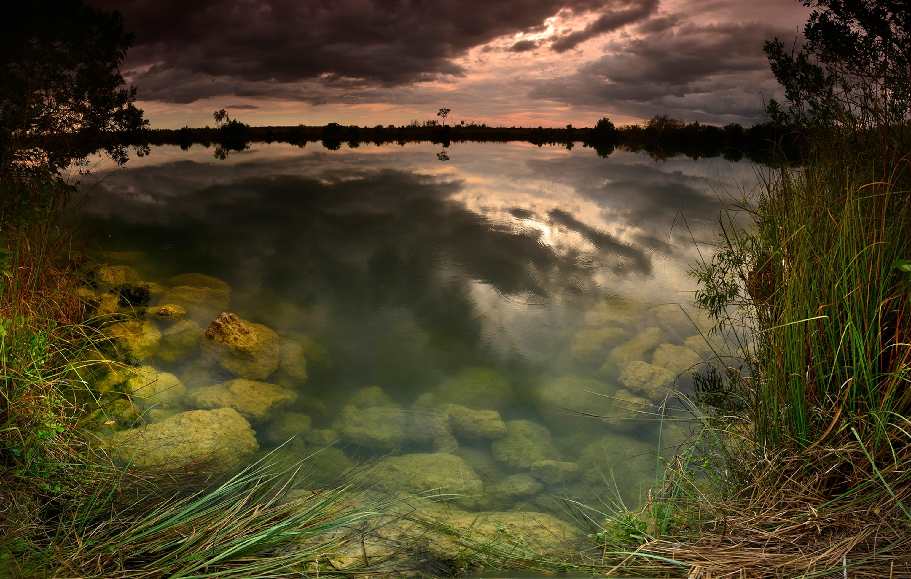 a dramatic sky reflected in a swamp in Everglades National Park.